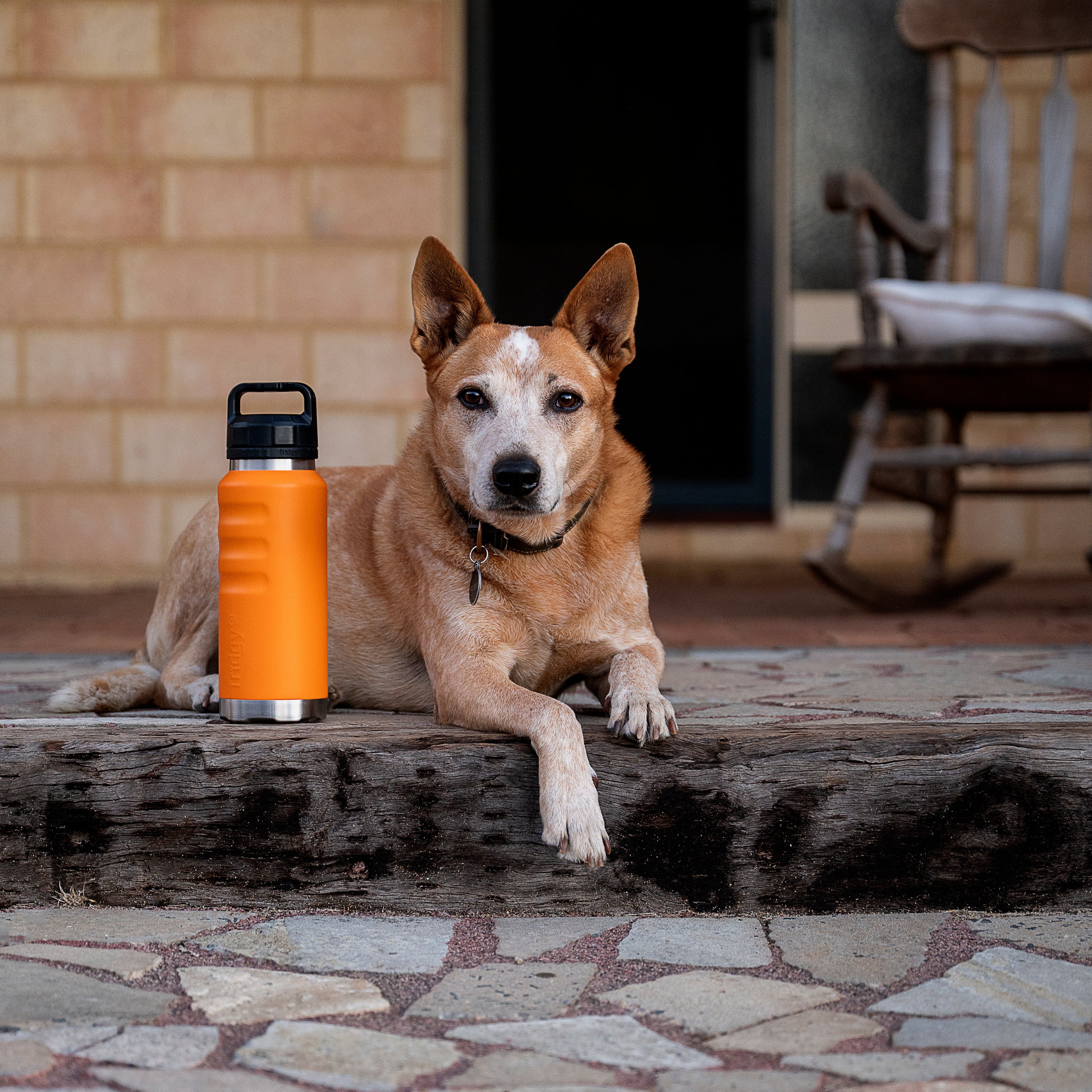 Grip Range Bottle | 1080ml | Navy Forge