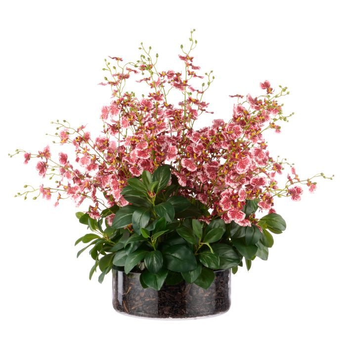 Dancing Orchid Garden Mix-Madelyn Bowl Pink | Large