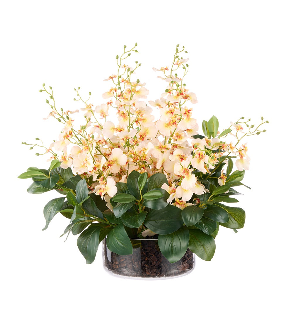 Dancing Orchid Madelyn Bowl Cream | Small