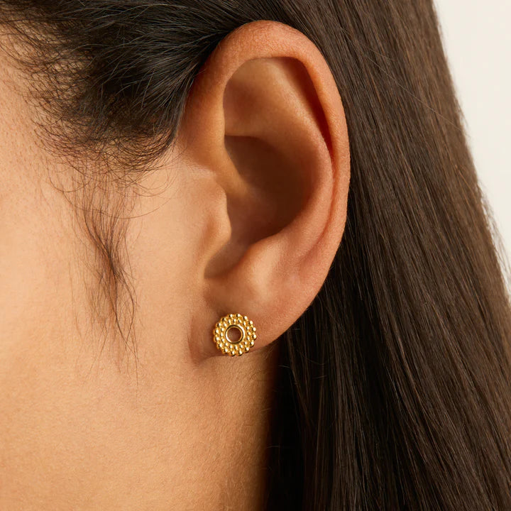 Nectar Stud Earrings | Gold