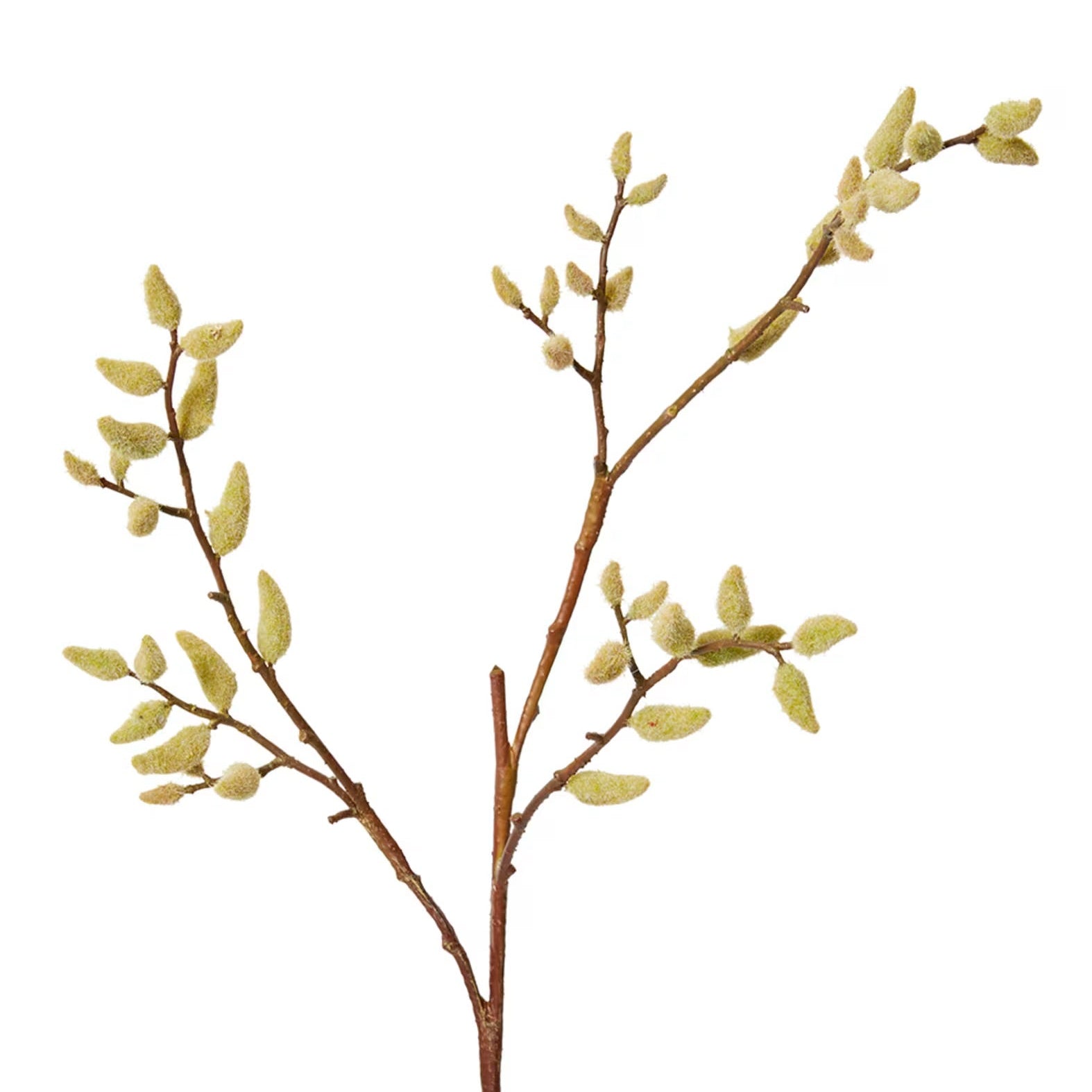Elme Living Magnolia Budding Stem