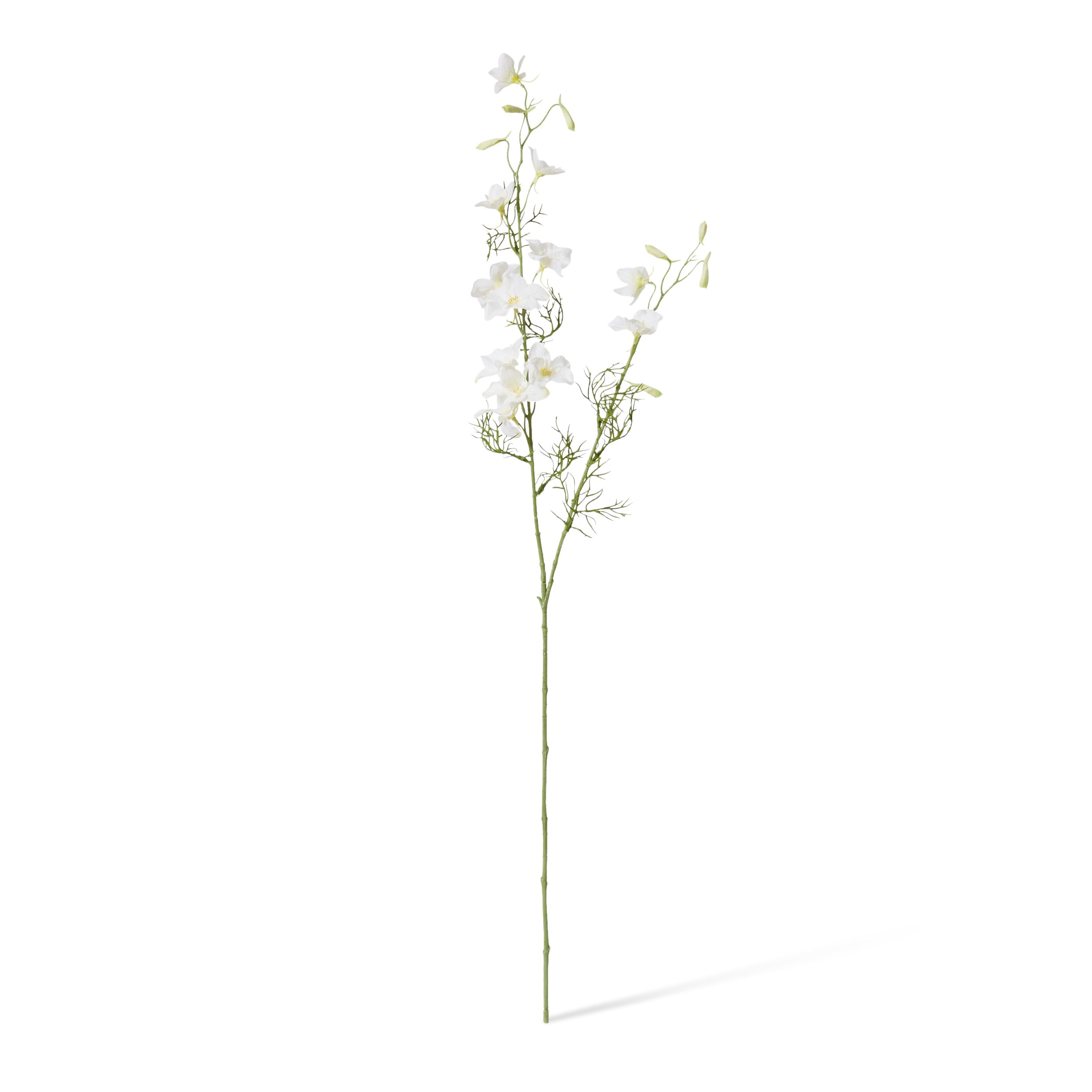 Delphinium Spray | White