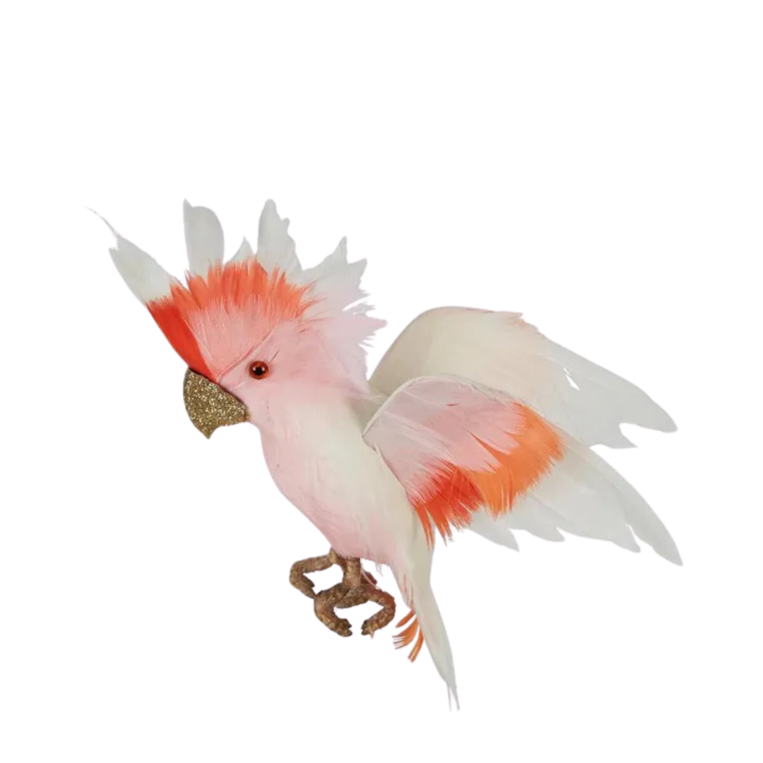 Galah Flying Bird