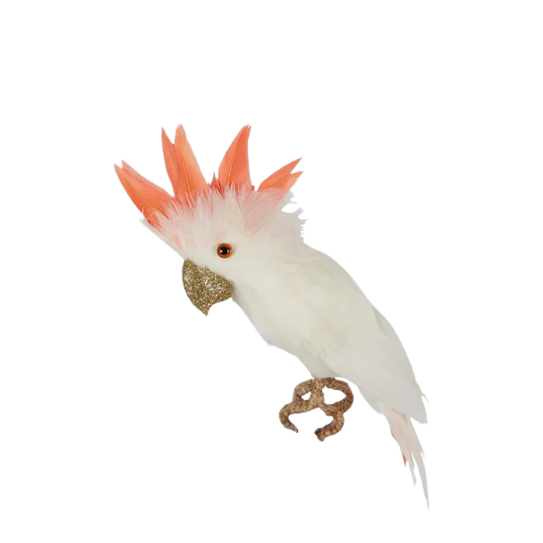 White Galah Flying Bird