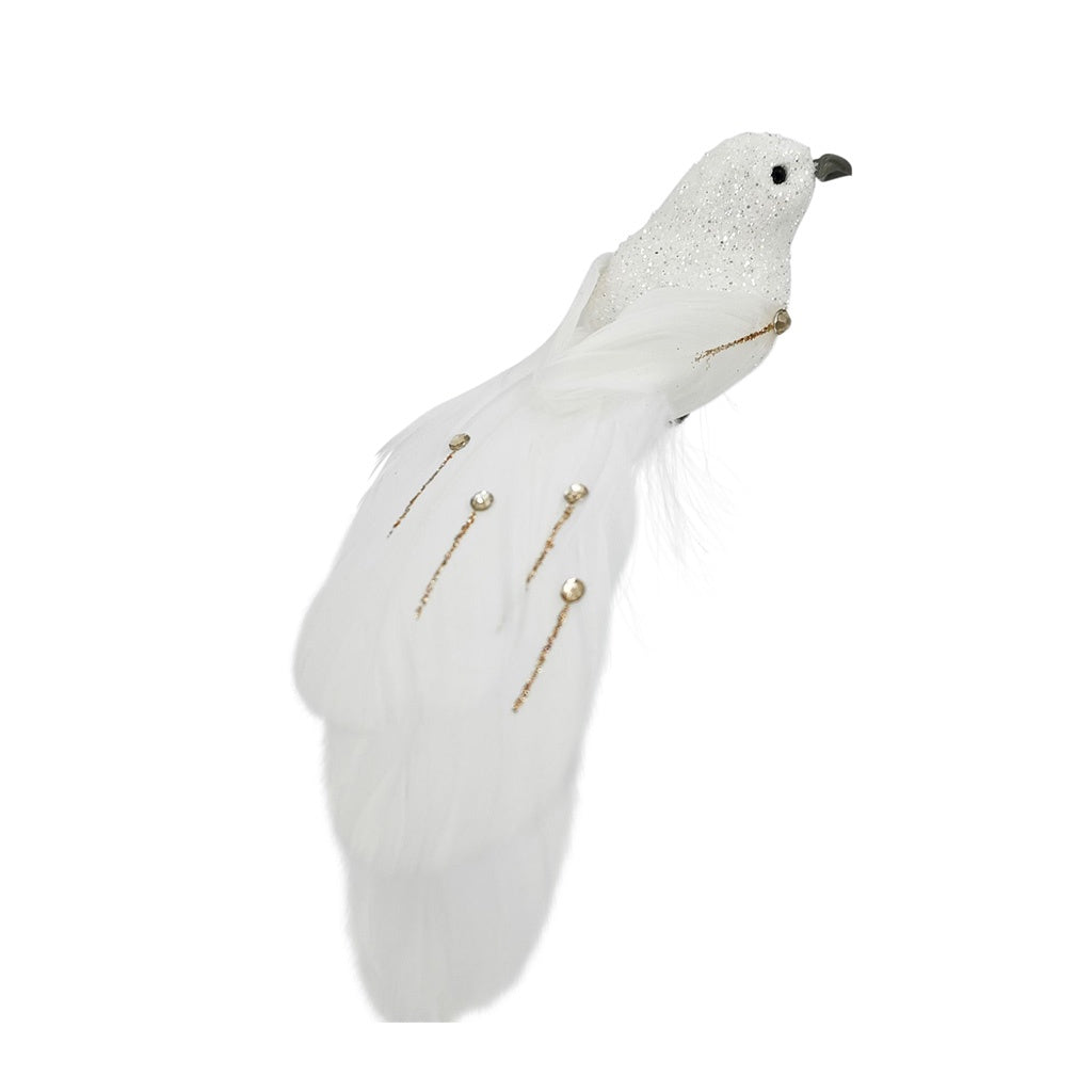 Long Tailed Feathered Bird