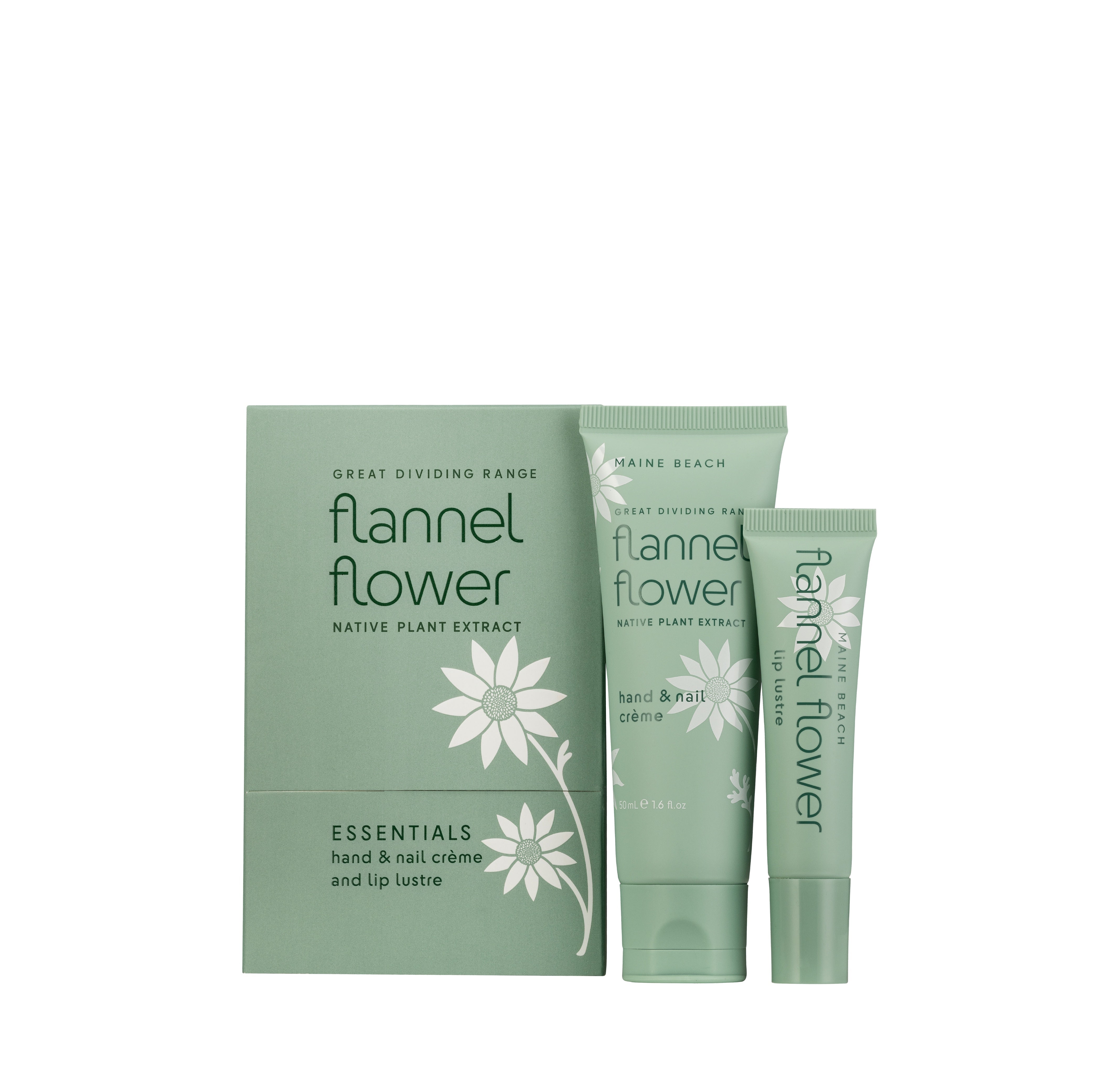Flannel Flower Essentials Pack