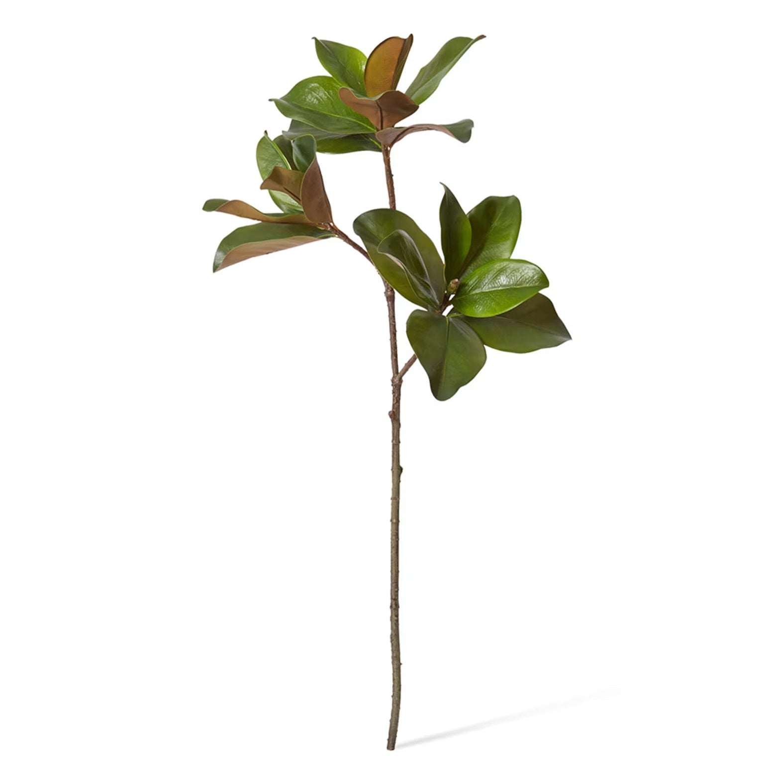 Magnolia Classic Leaf Spray