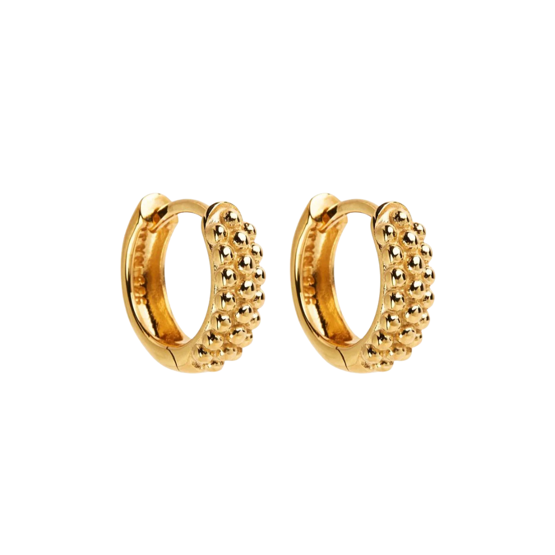 Chia Huggie Earrings | Gold