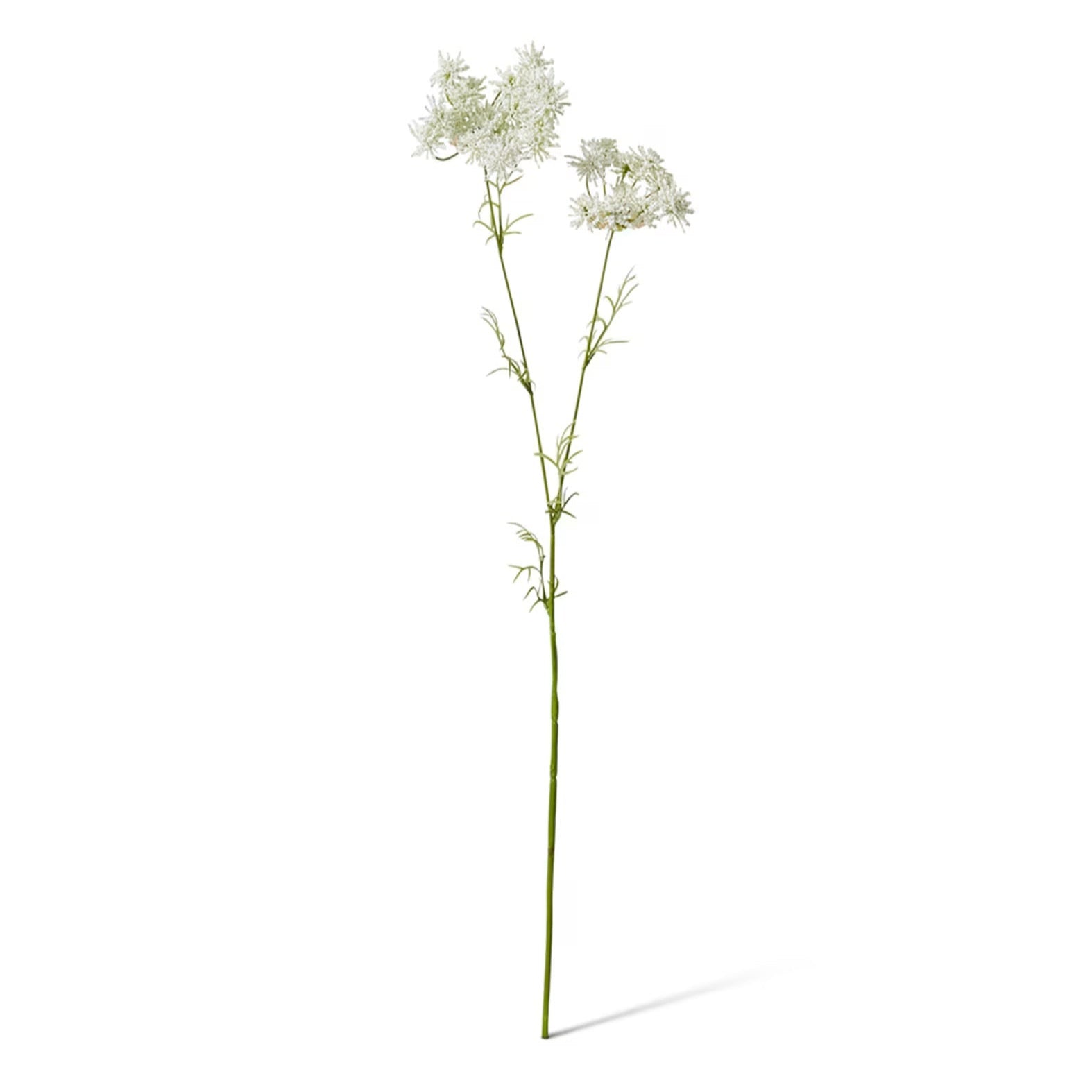 Queen Anne Lace Spray