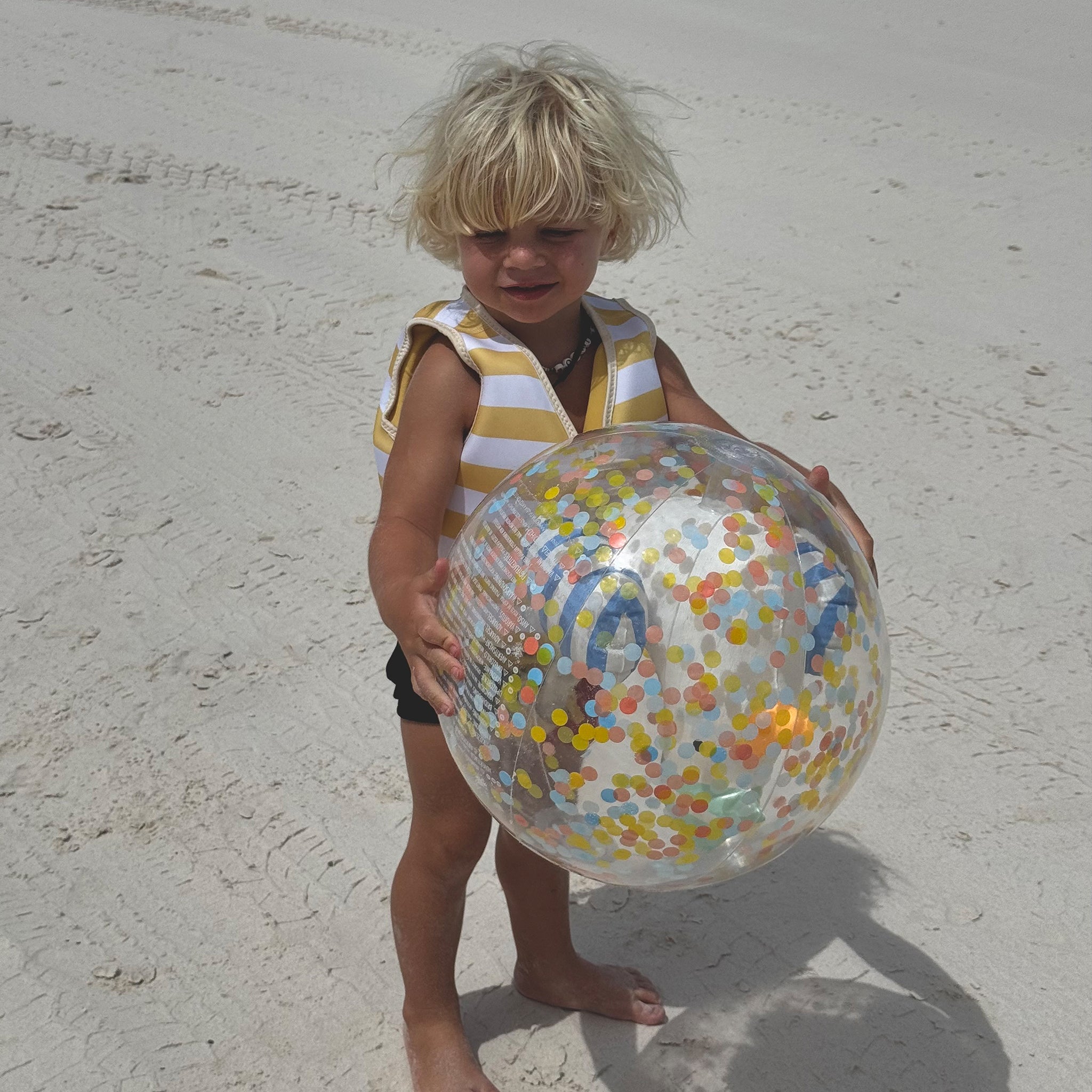 3D Inflatable Beach Ball Sammy the Seagull Blue Stripe