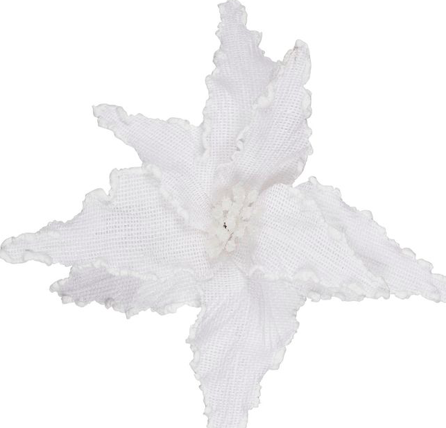 Poinsettia White | White Trim