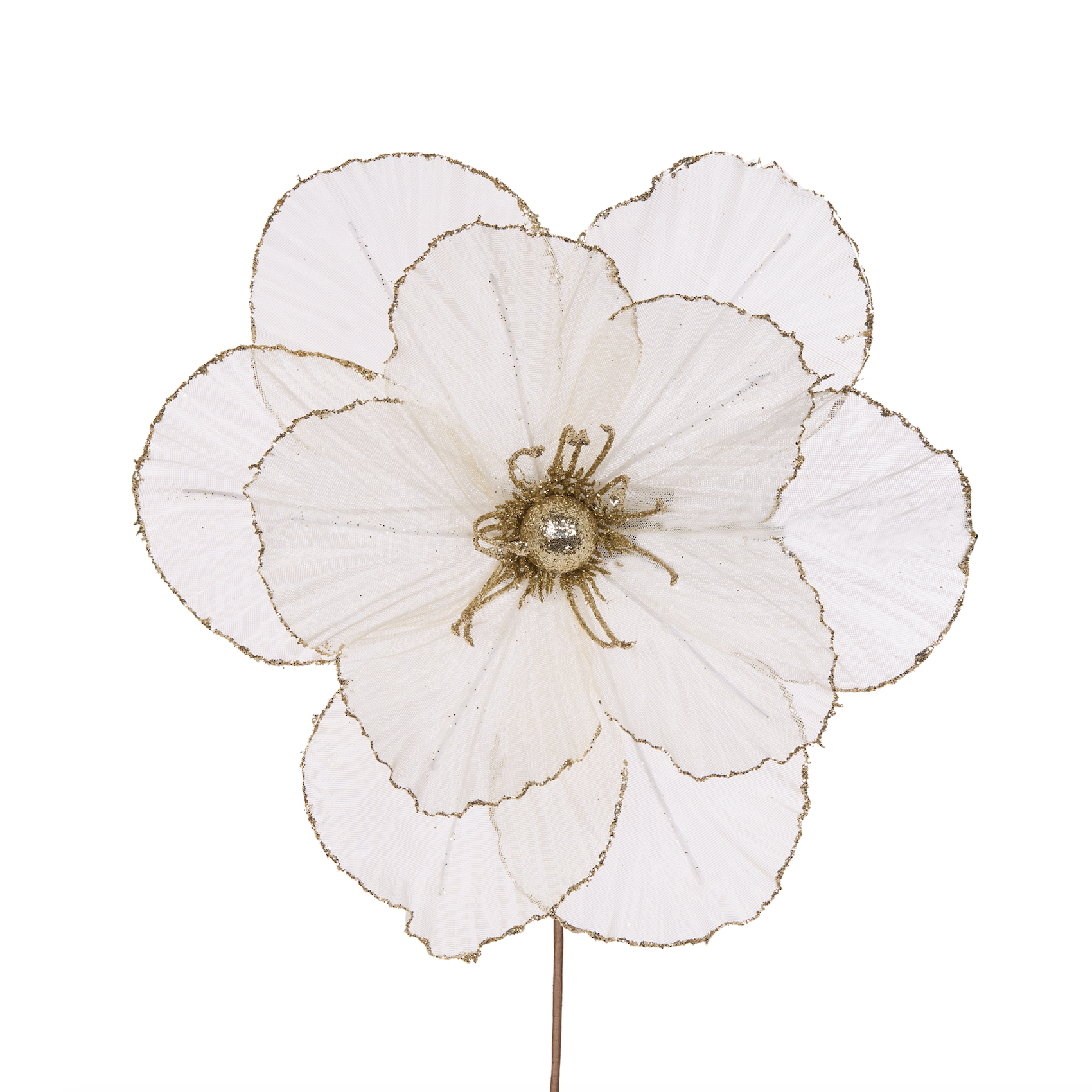 Sheer Ivory Camellia