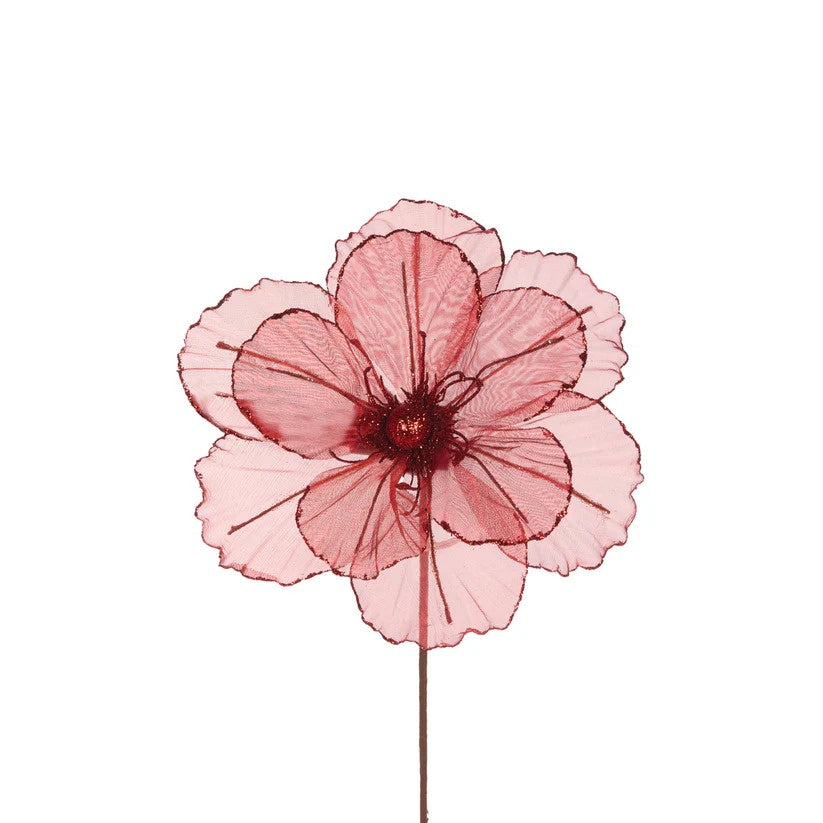 Sheer Red Camellia