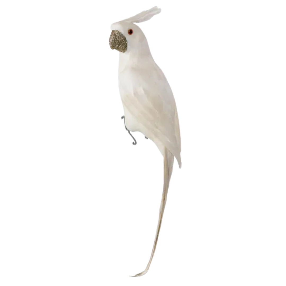 White Crawford Glitter Parrot