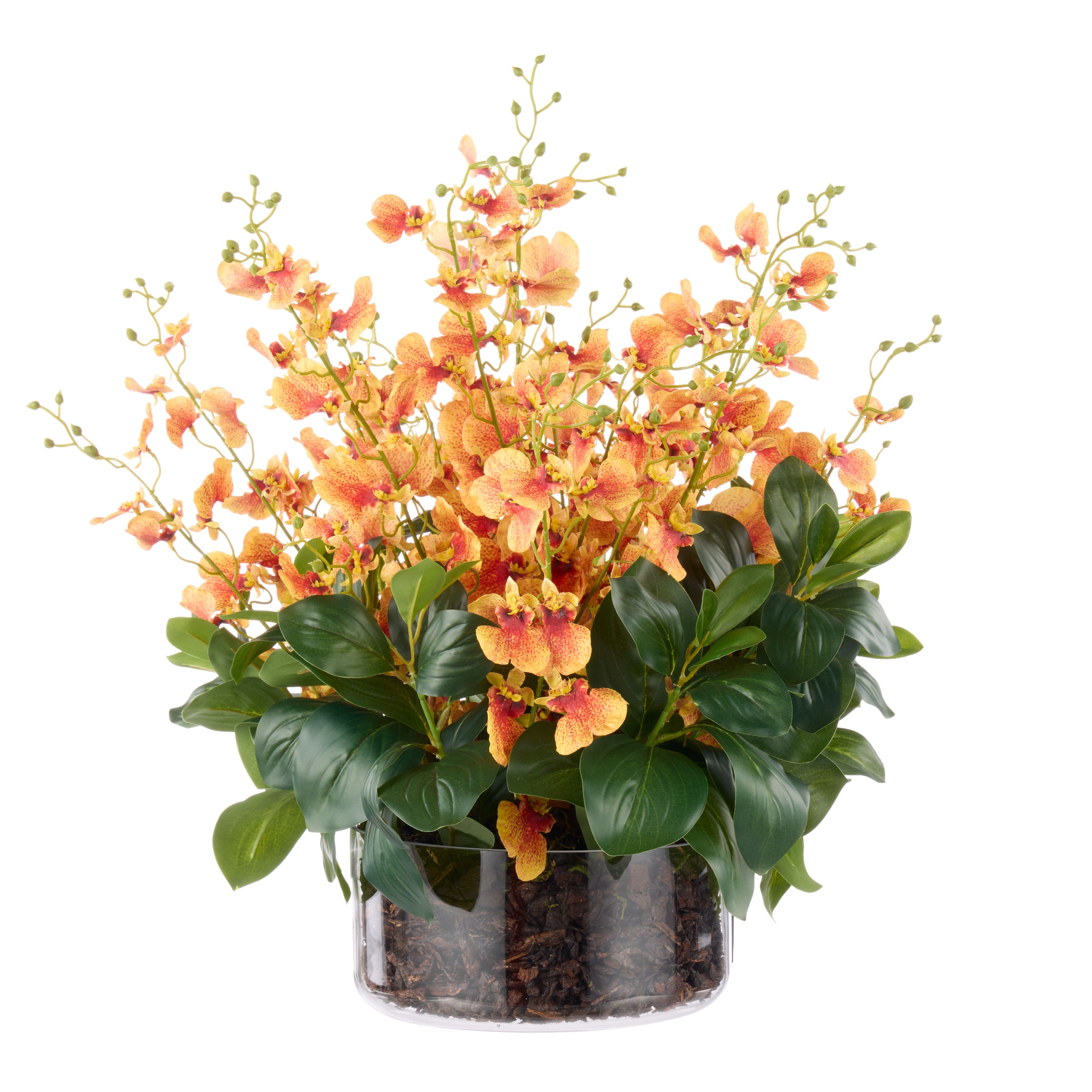Dancing Orchid-Small Madelyn Bowl | Orange