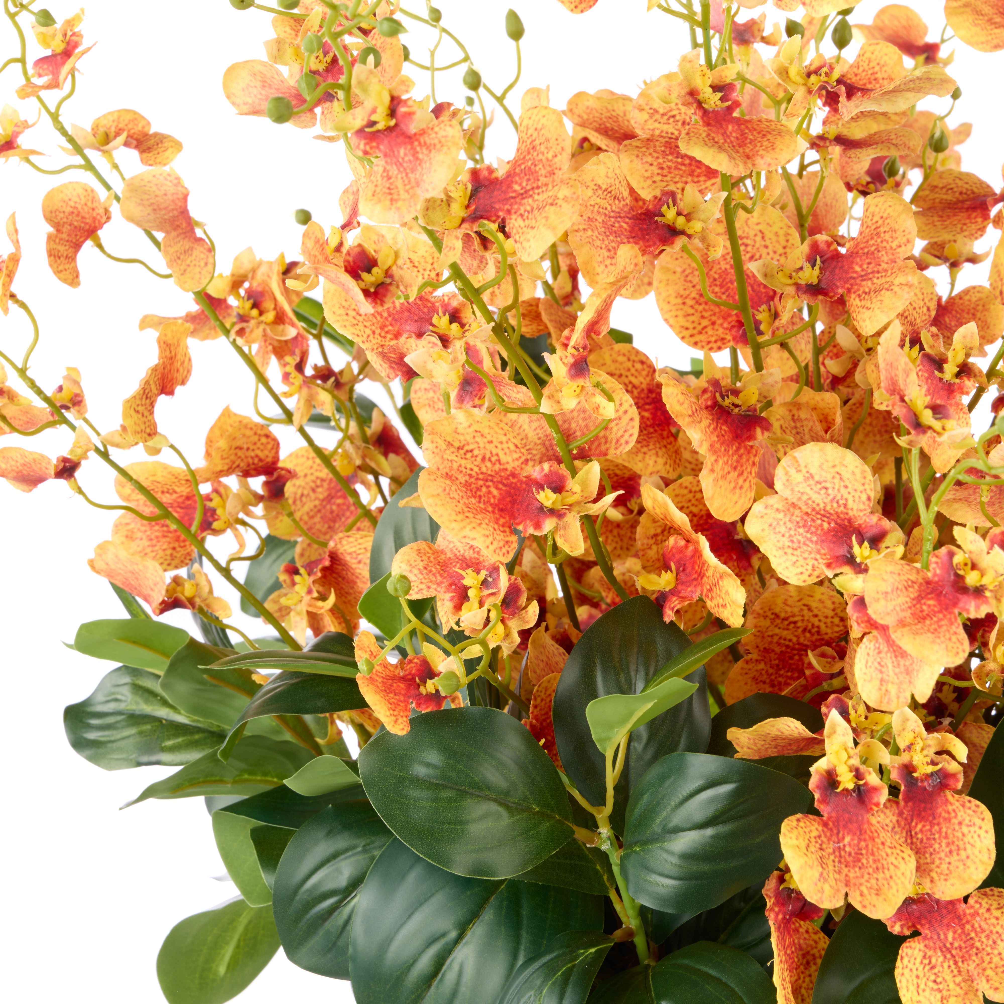 Dancing Orchid-Small Madelyn Bowl | Orange