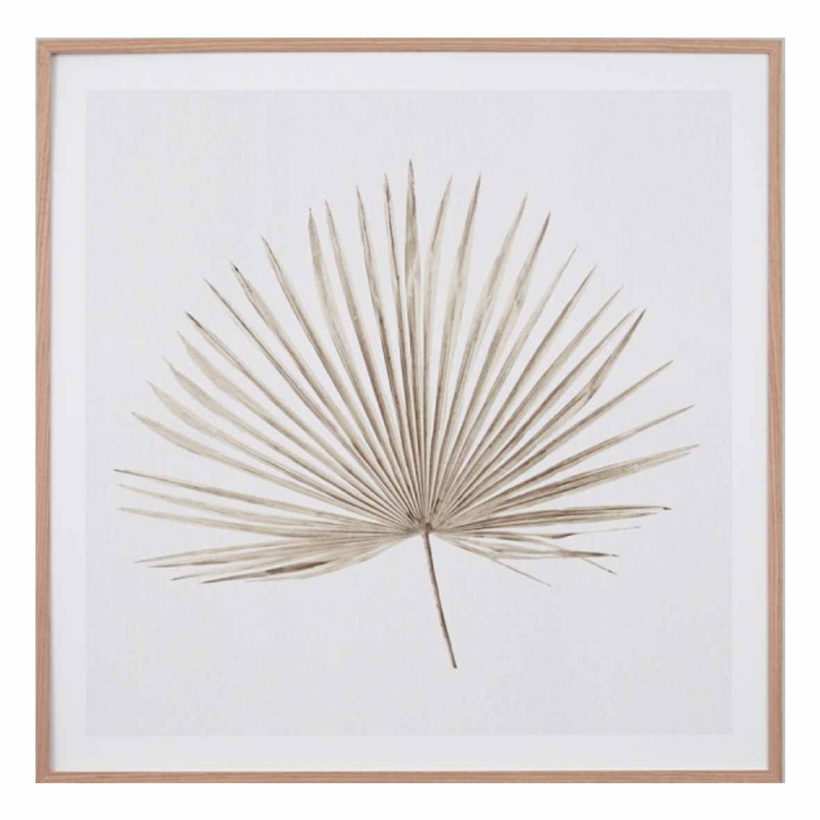 Verano Palm I | 6 Sizes