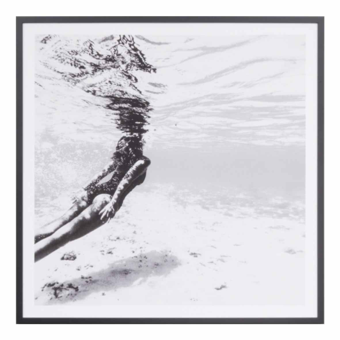 Tropical Dive | 6 Sizes