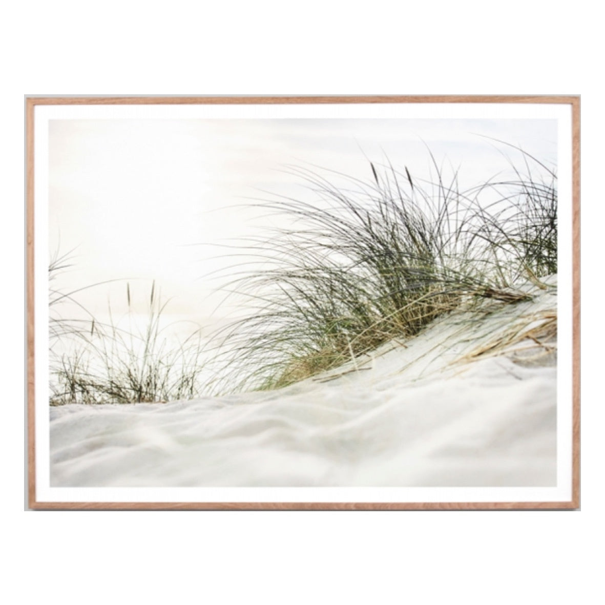 Dusk Dune | 6 Sizes