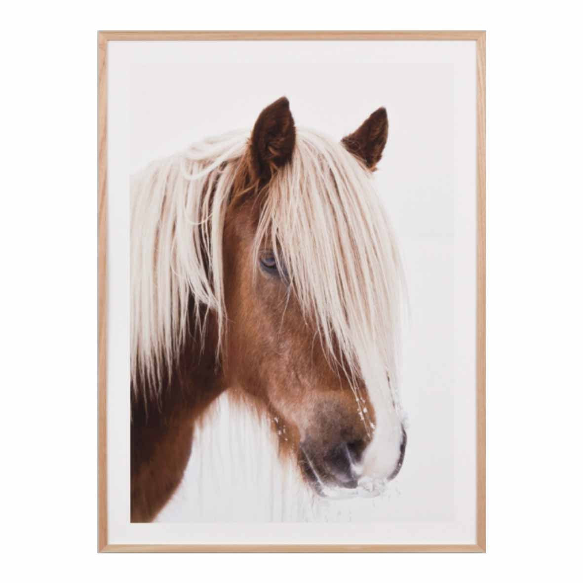 Wild Avelignese | 6 Sizes