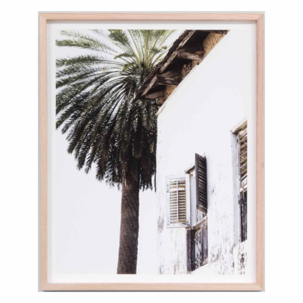 Palm Window | 6 Sizes