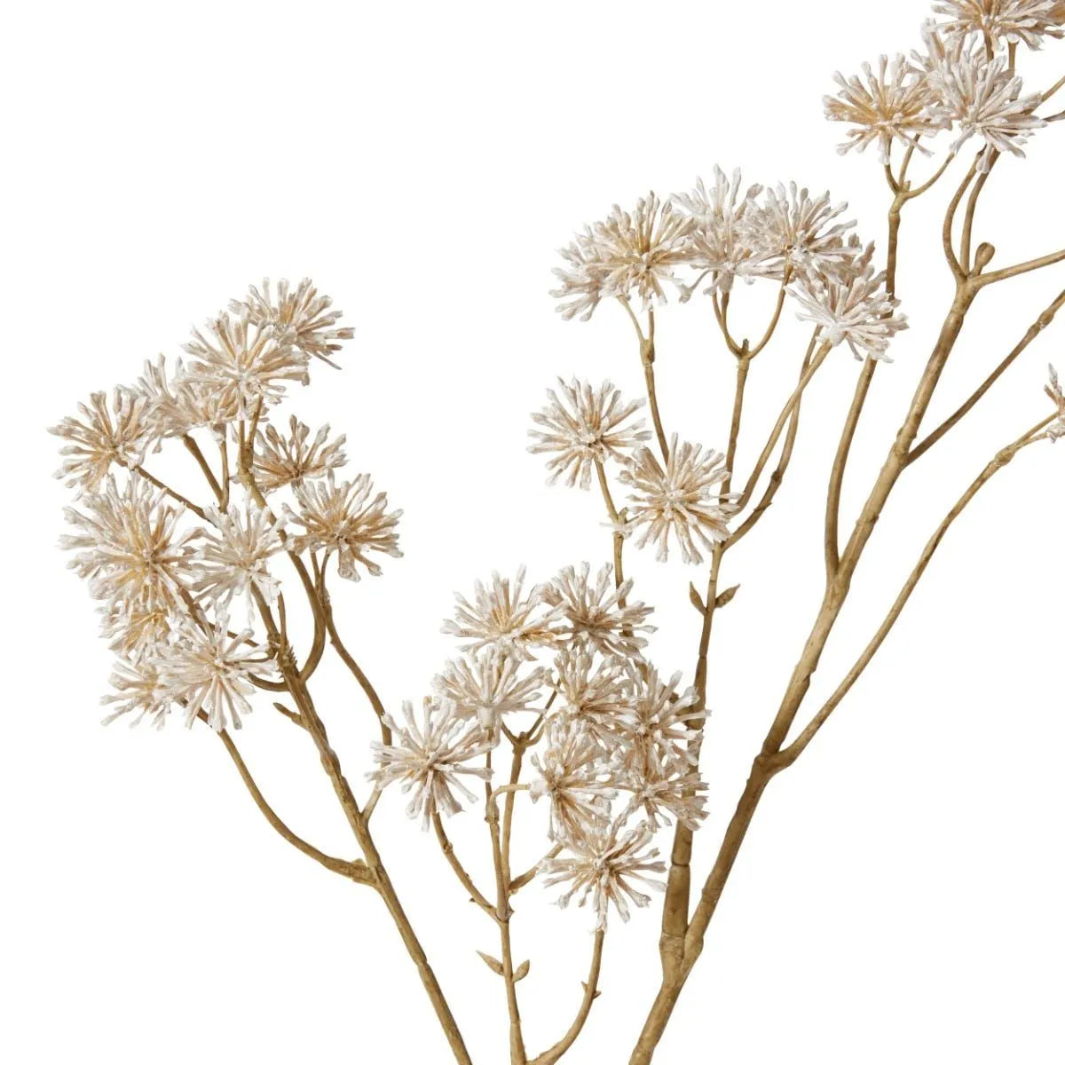 Aralia Deco Seed Spray