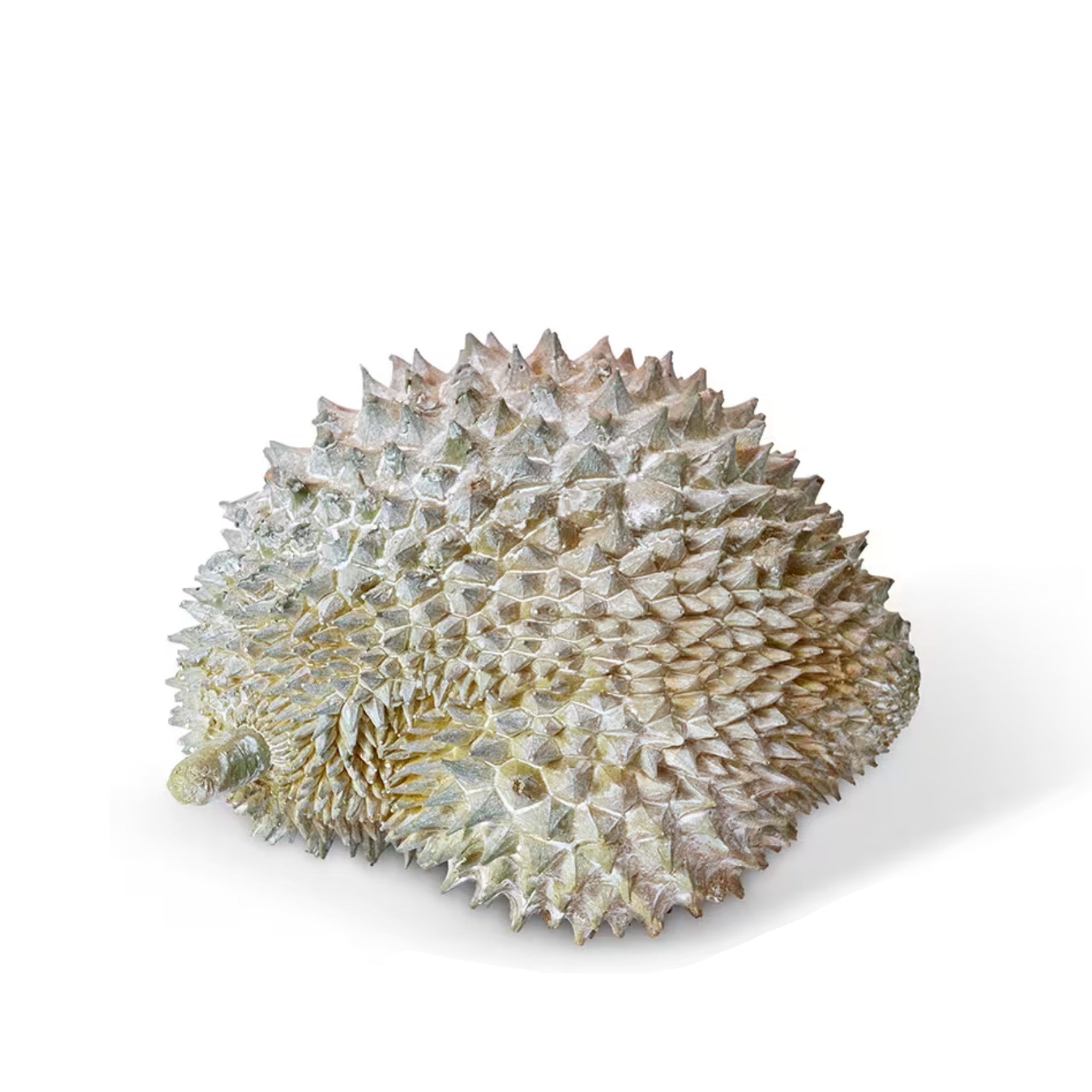 Durian Sculpture Natural | Small