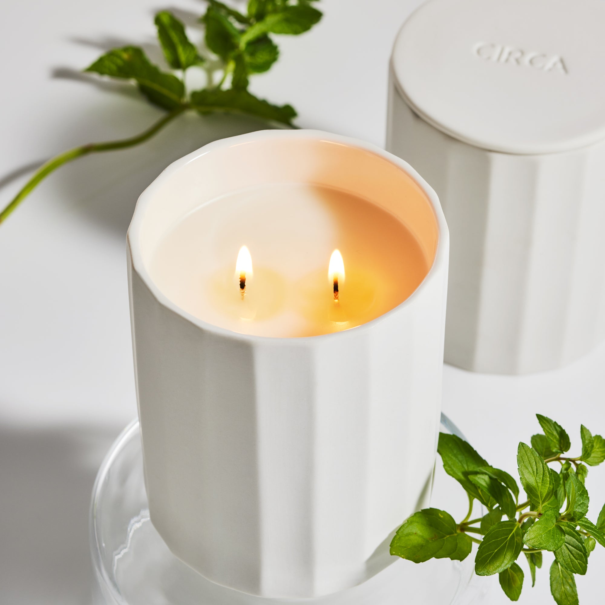 White Tea &amp; Wild Mint Candle | Kitchen Alchemy