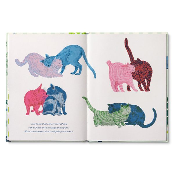 Cats Just Know Book