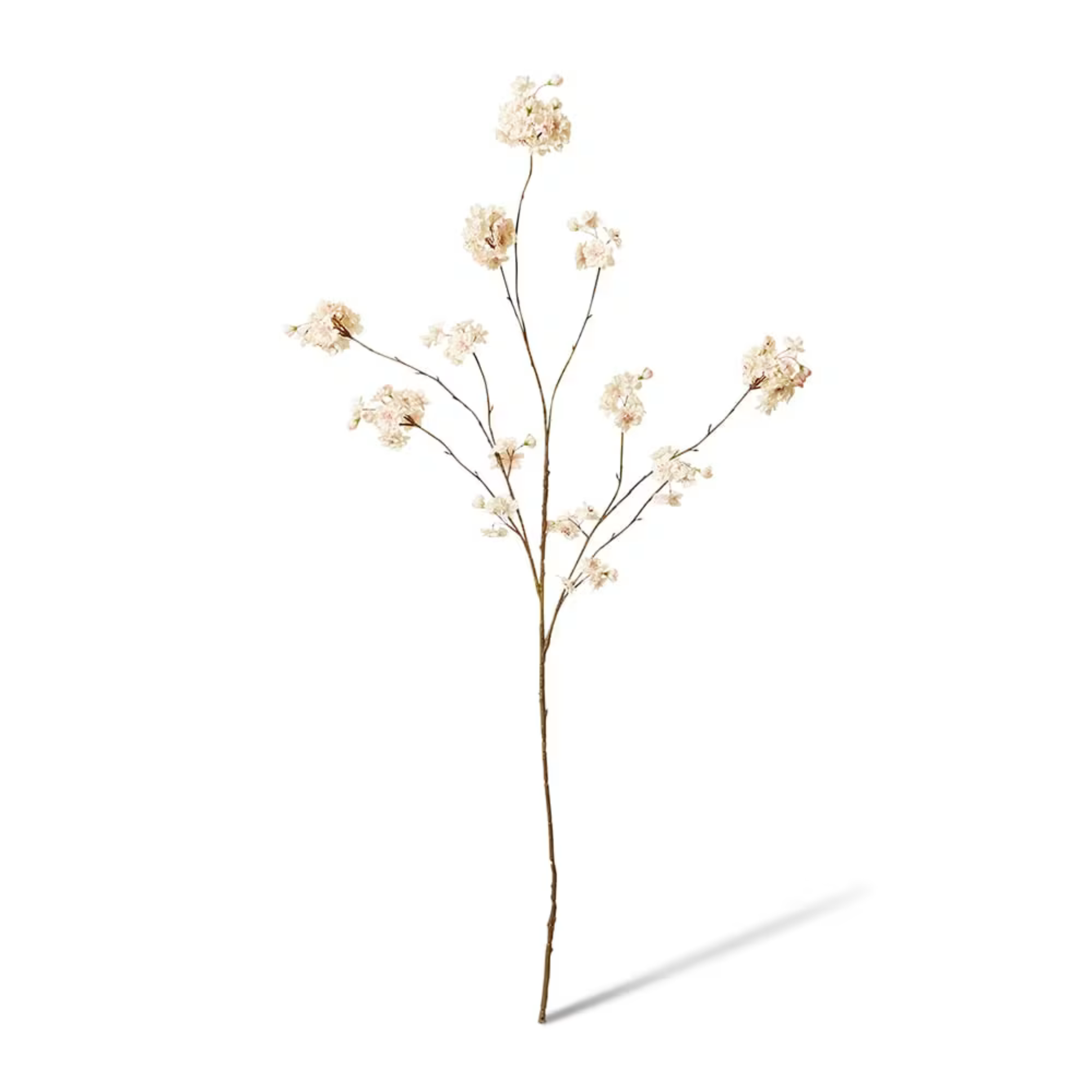 Crab Apple Blossom Spray