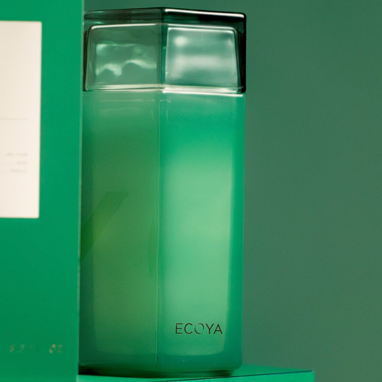 ECOYA Keepsake Candle 3 | 550g