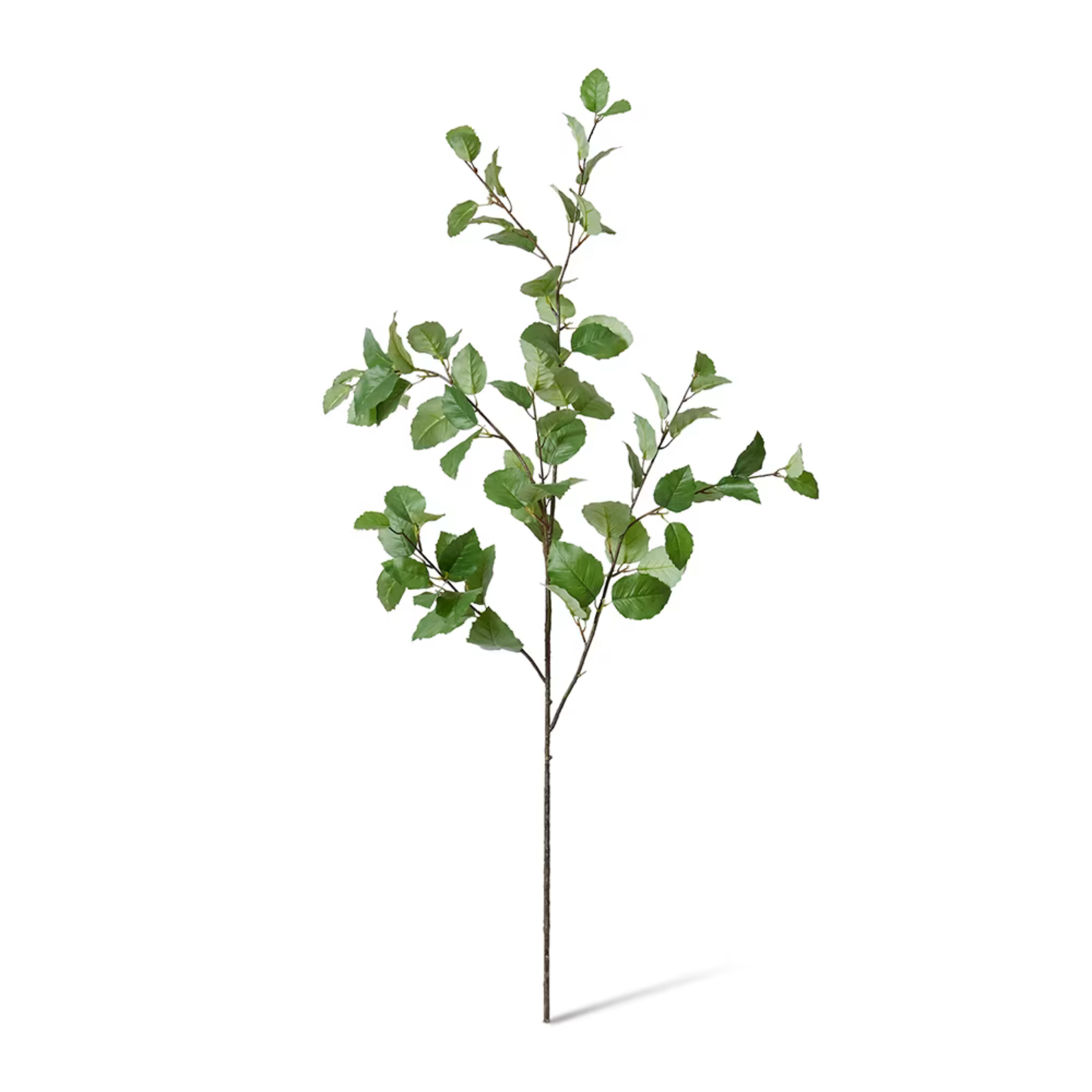 Elm Leaf Spray