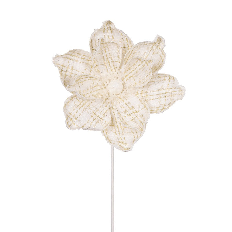 White Tartan Magnolia