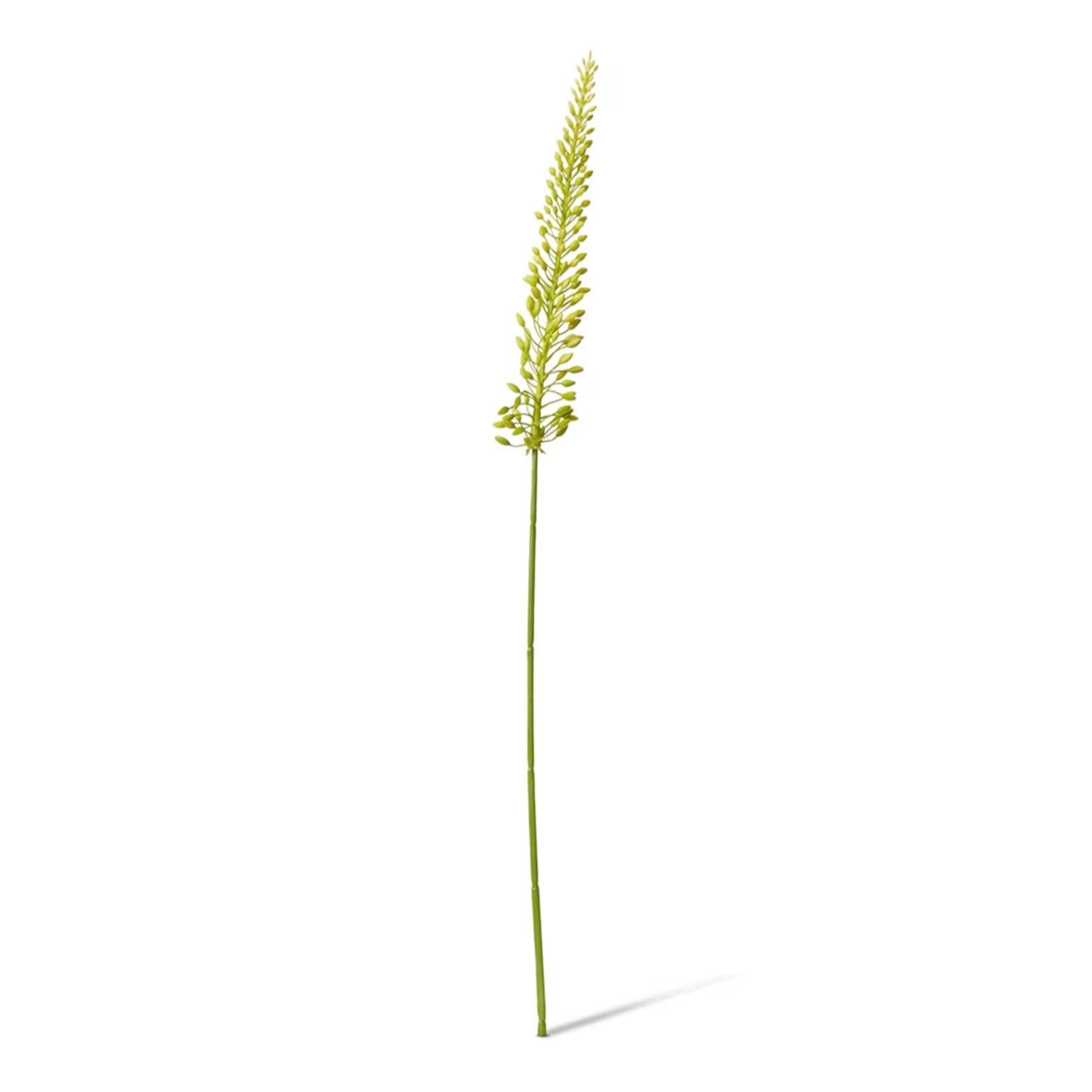 Foxtail Lily Mini Stem