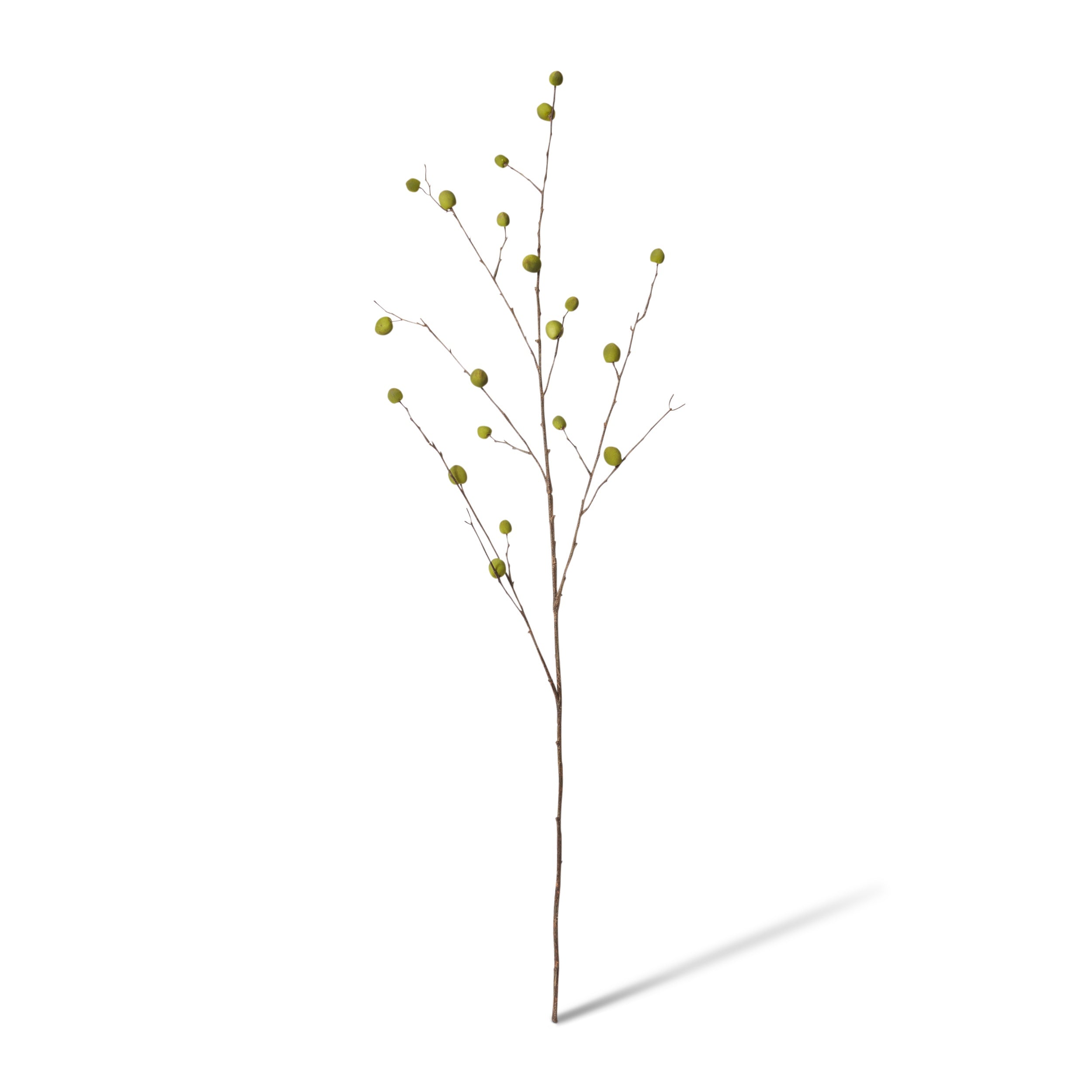 Berry Pod Dried Look Branch – Swish Furniture, Gifts & Homewares