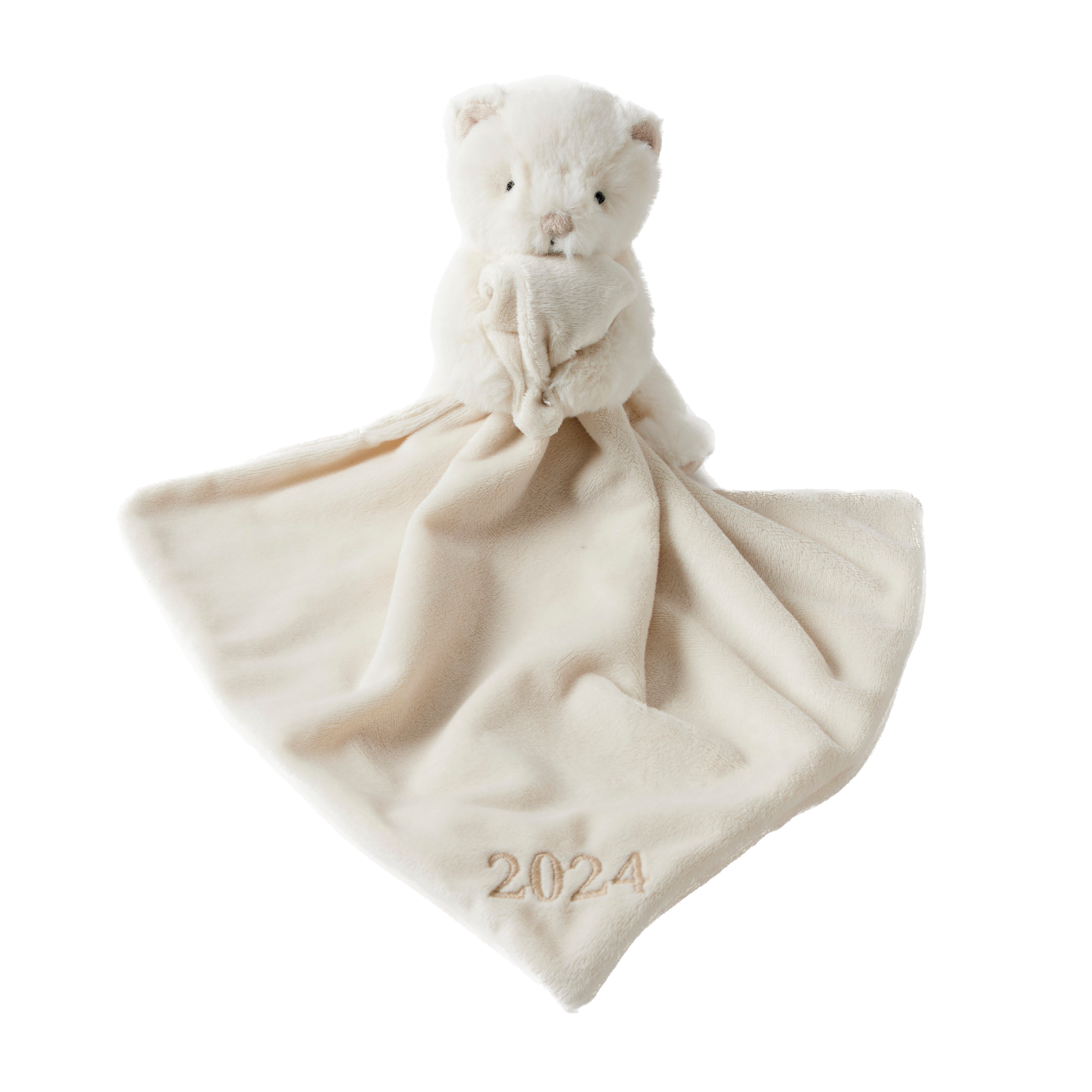 Year I Was Born 2024 Comforter