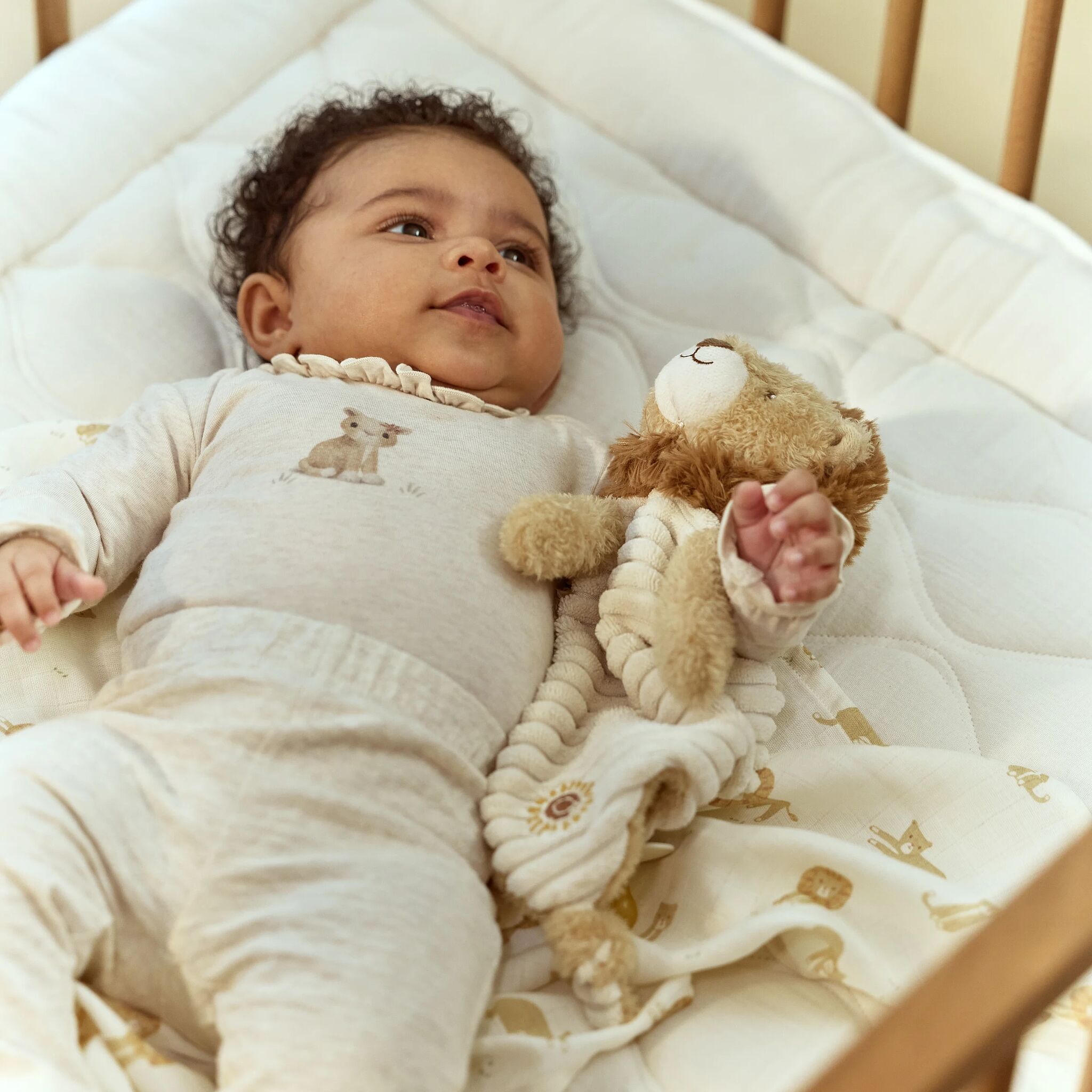 Cuddle Cloth Lion