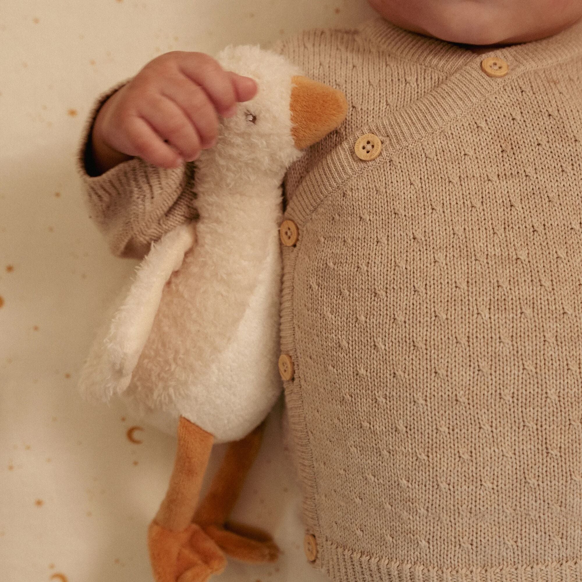 Soft Baby Goose