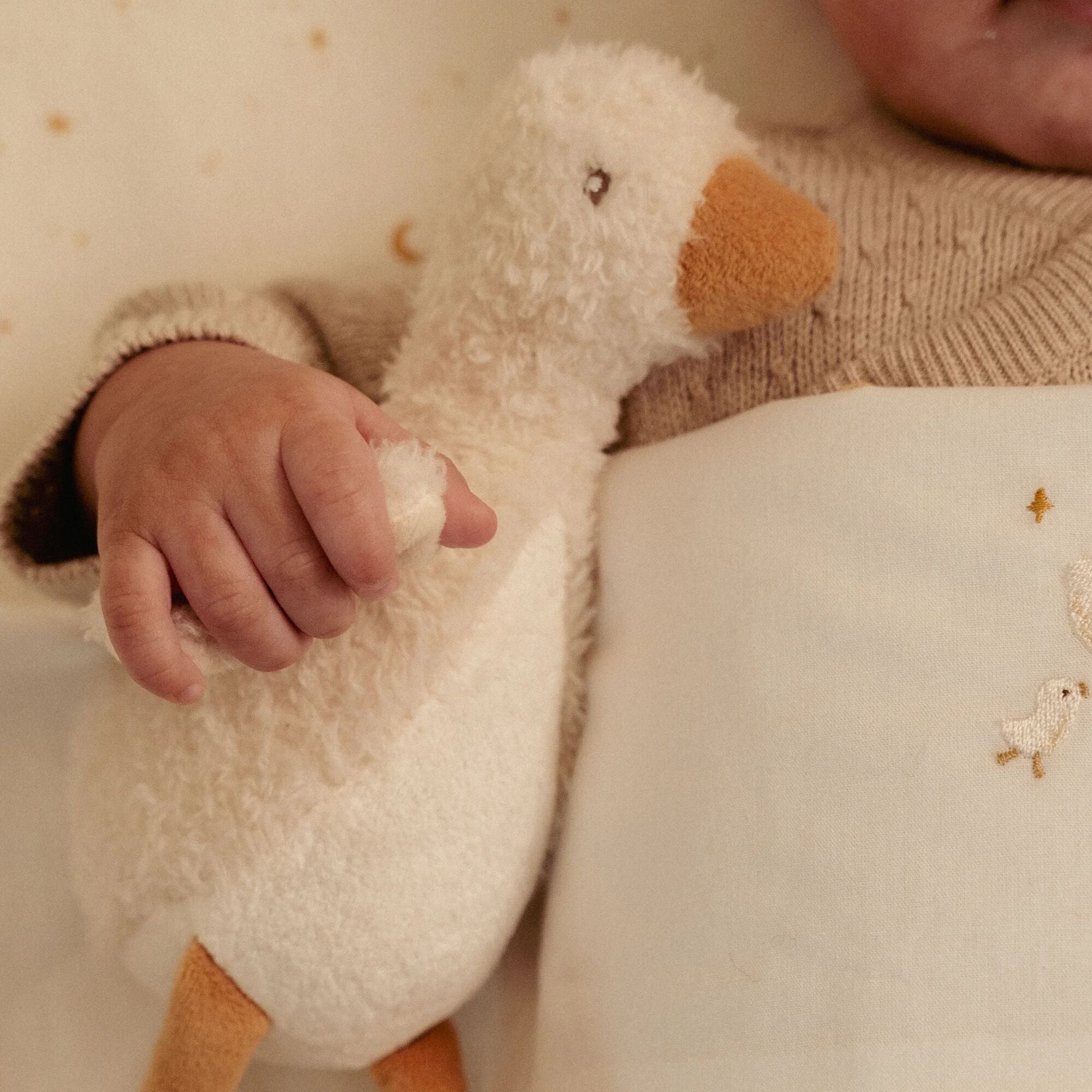 Soft Baby Goose