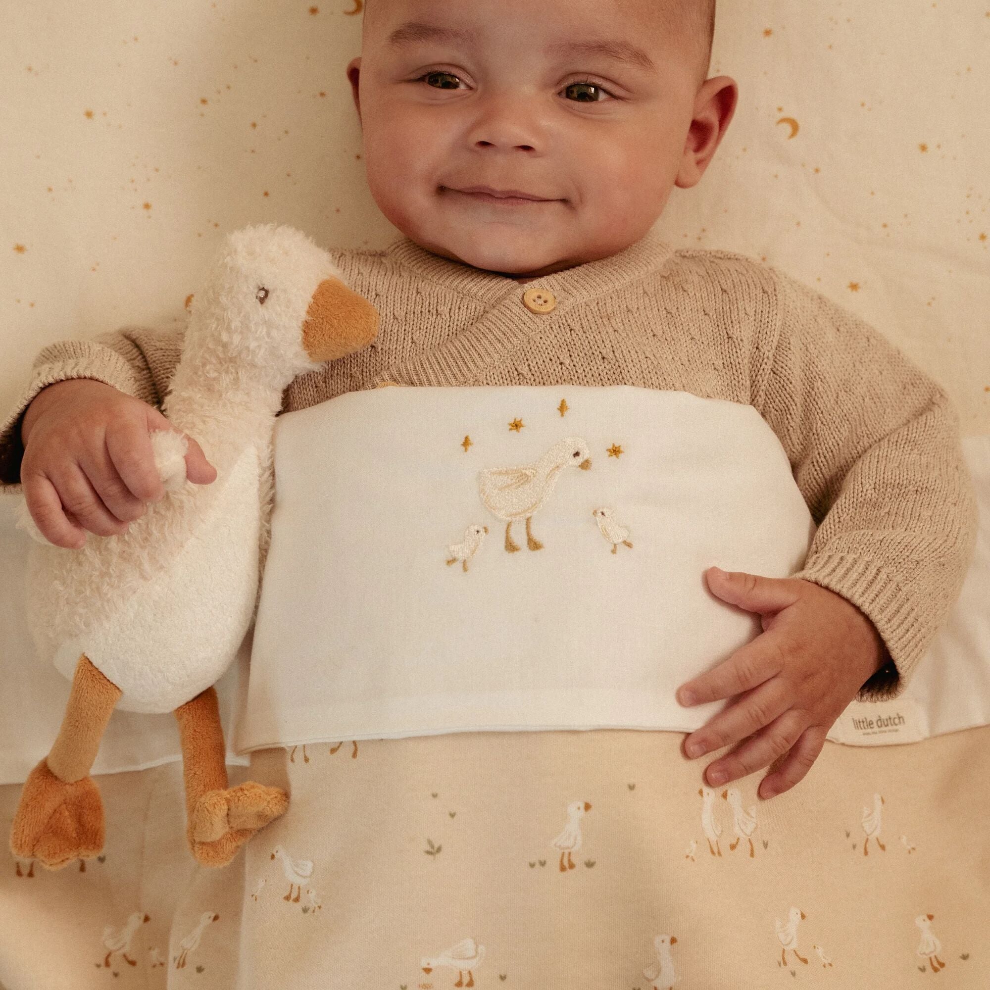Soft Baby Goose