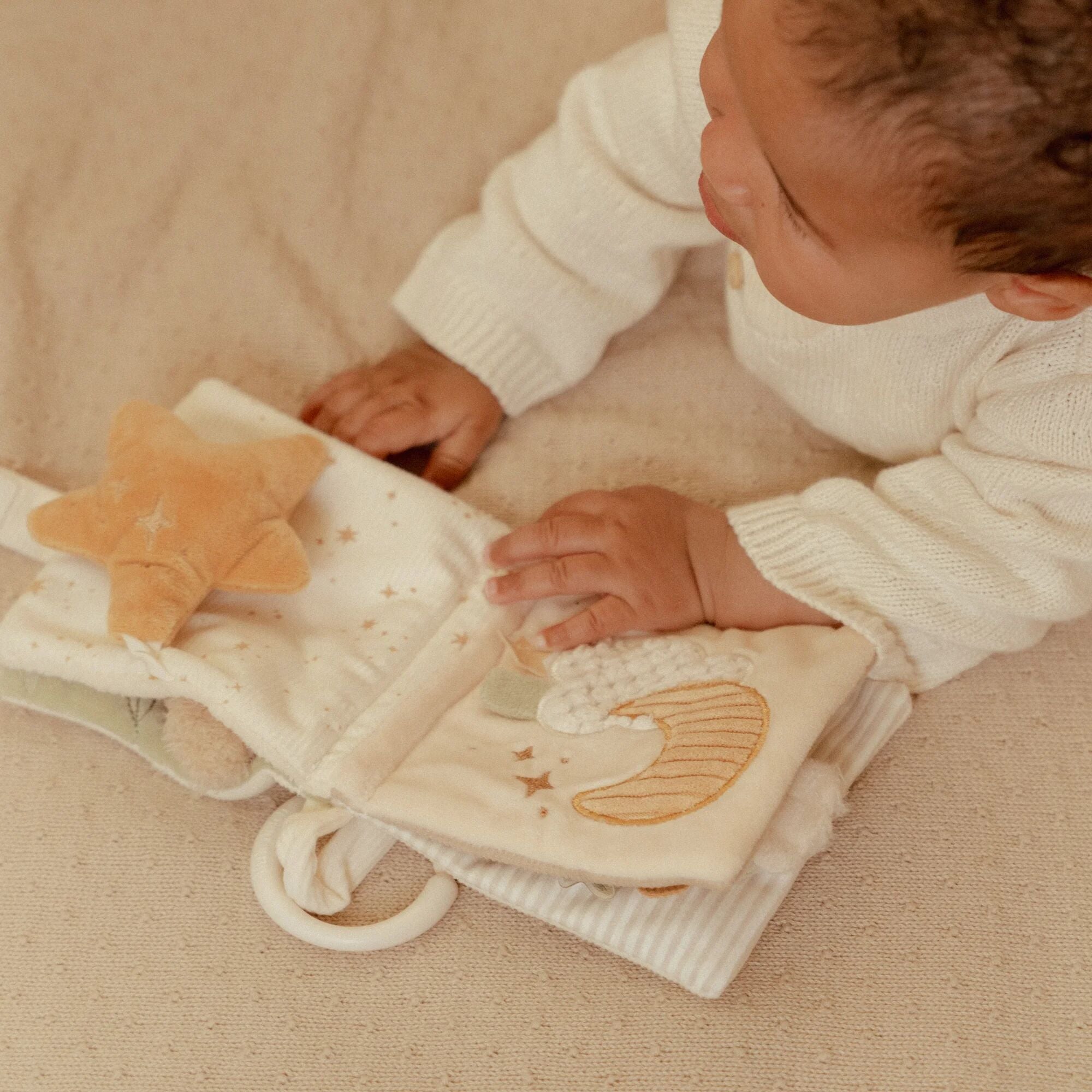 Little Goose Stroller Book