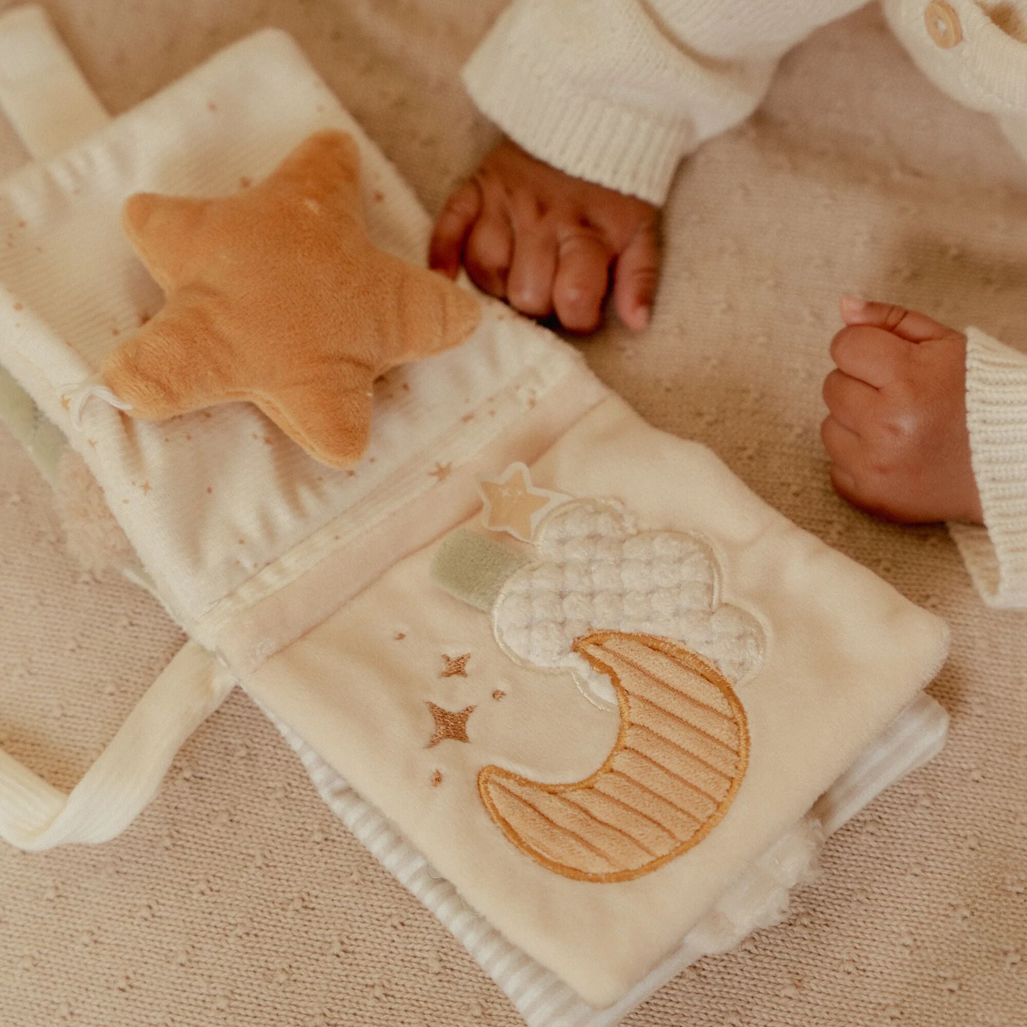 Little Goose Stroller Book