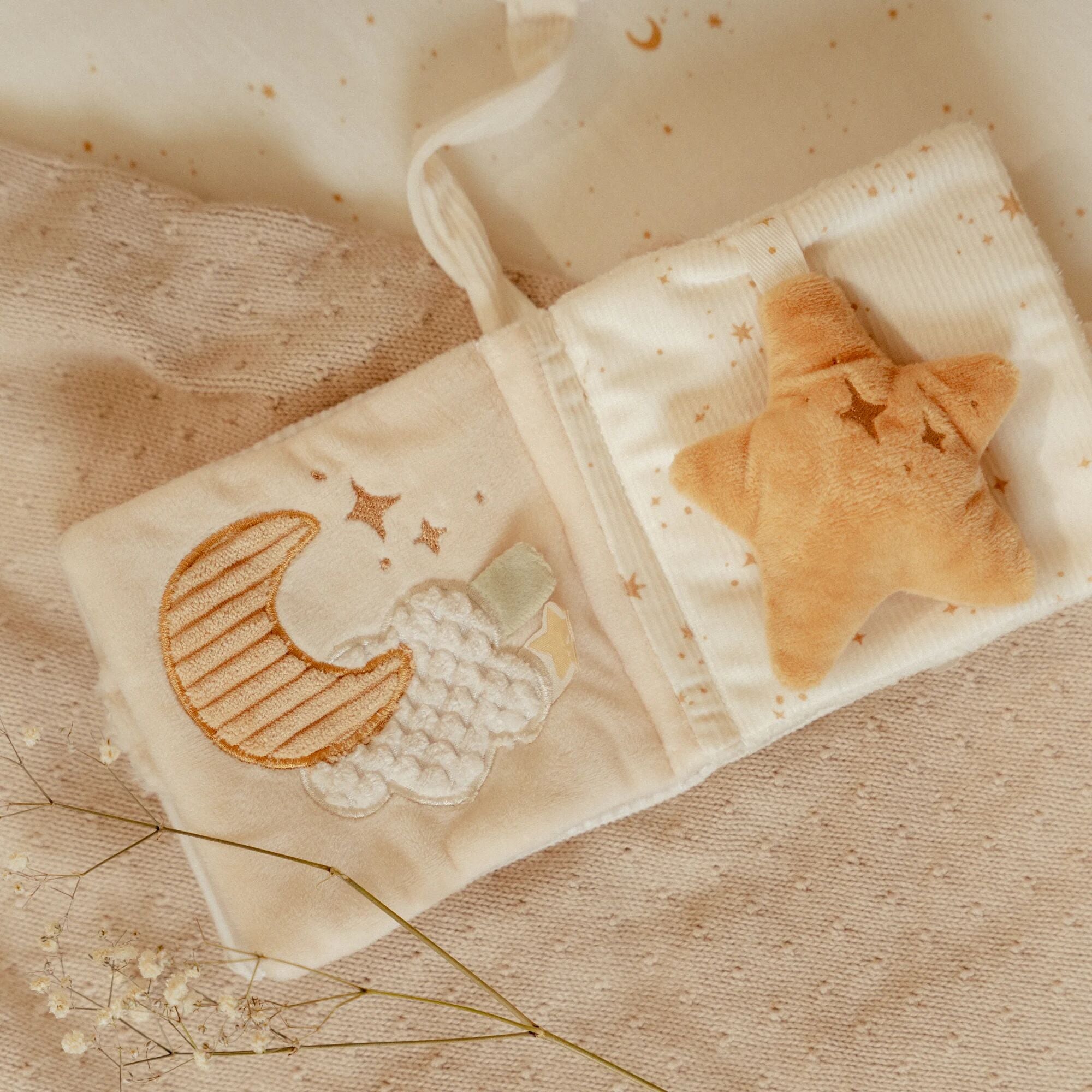 Little Goose Stroller Book