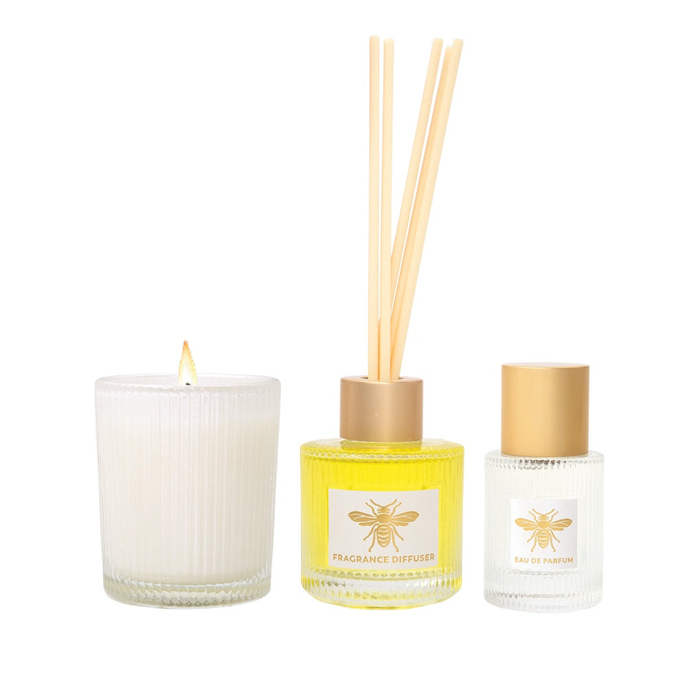 Ligurian Honey Trio Collection