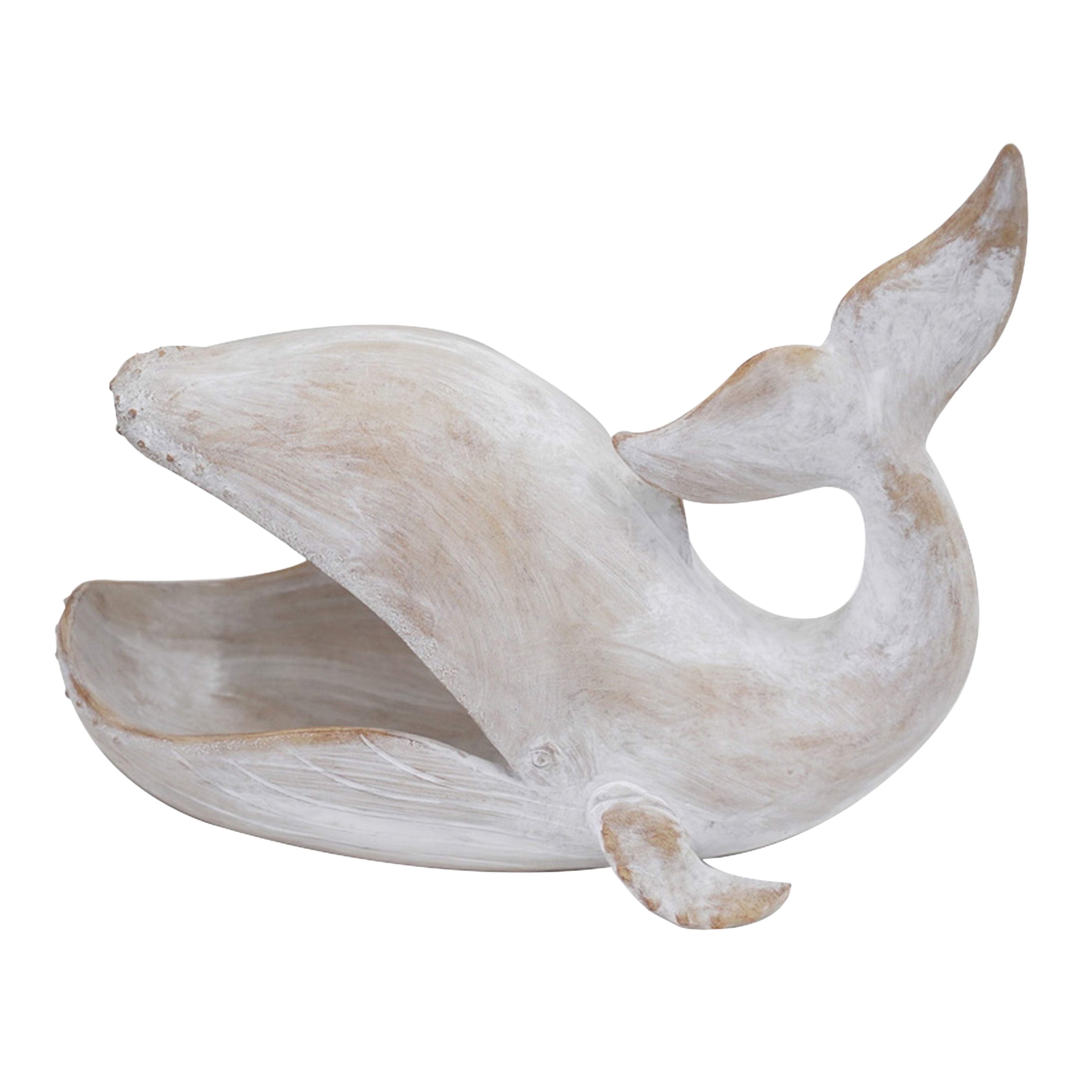 Fiji Wide Mouth Whale