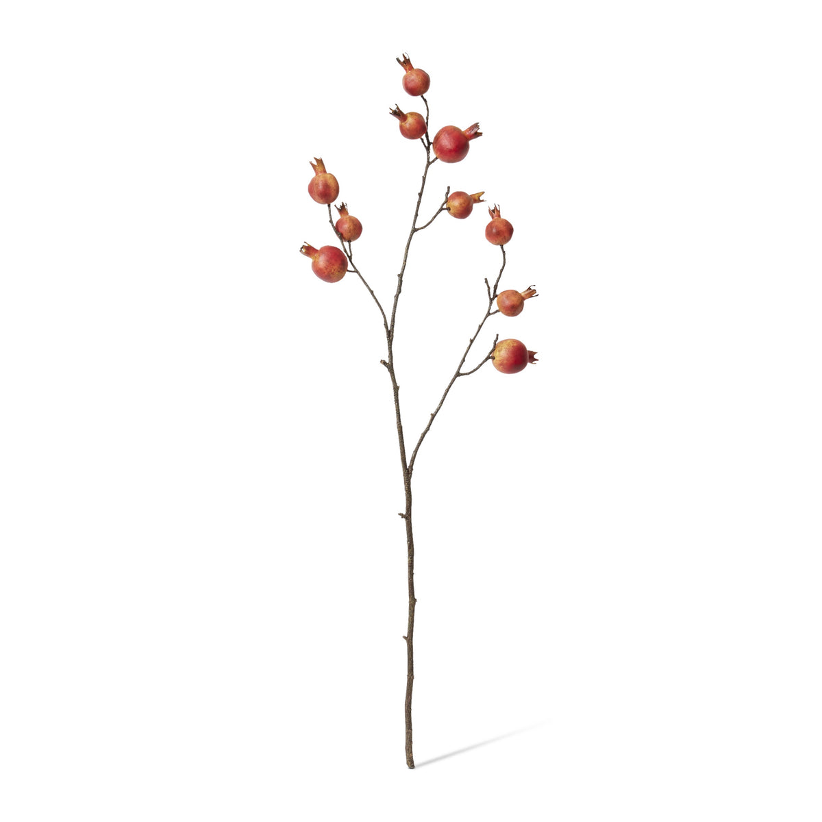 Pomegranate Branch
