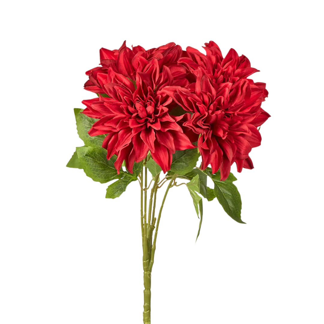 Red Dahlia Bush