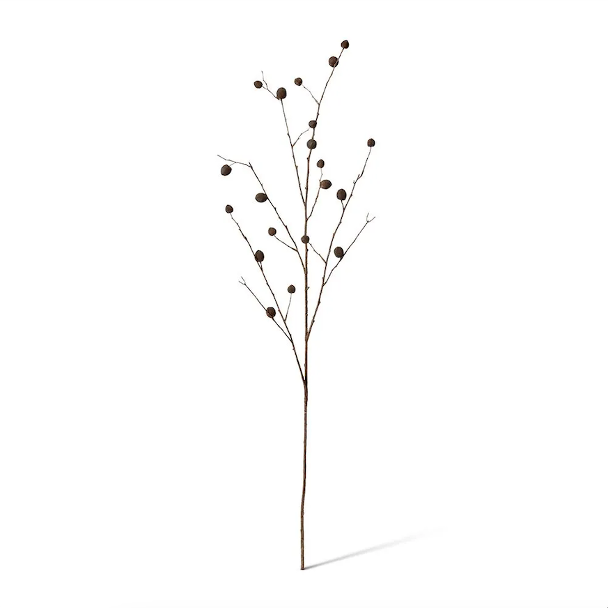 Berry Pod Dried Look Branch | Dark Brown