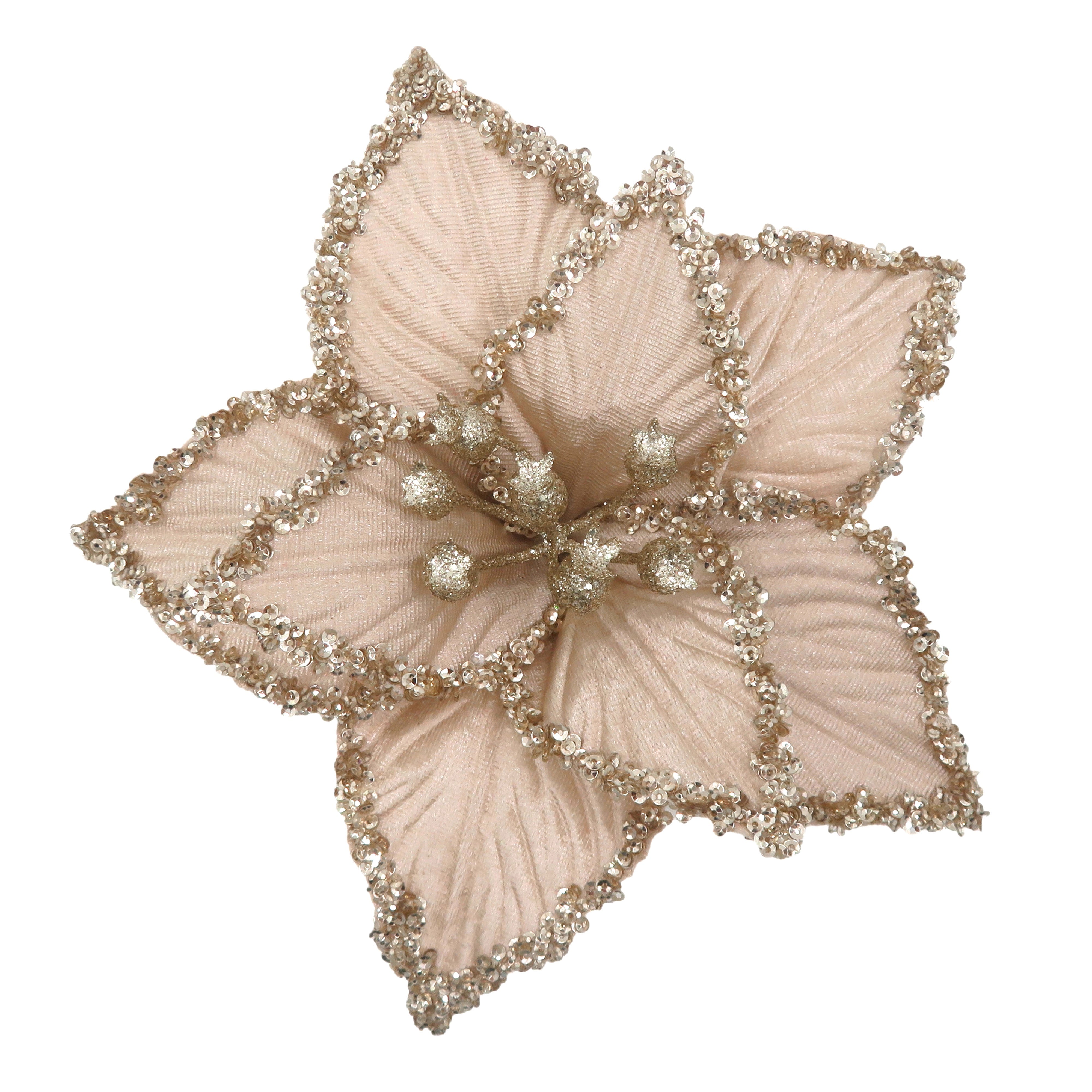 Champagne Poinsettia Clip On
