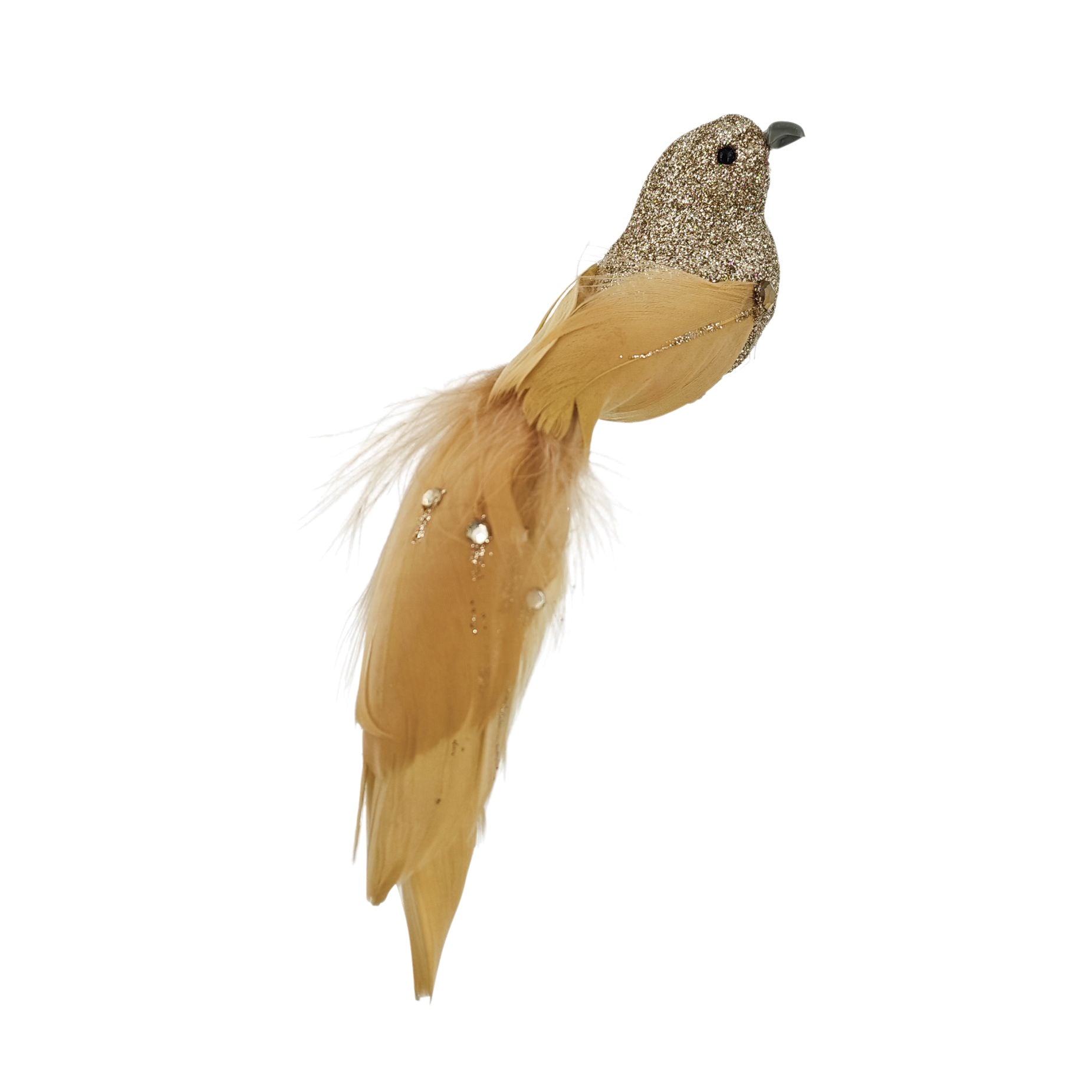 Long Tailed Bird Feathered | Gold